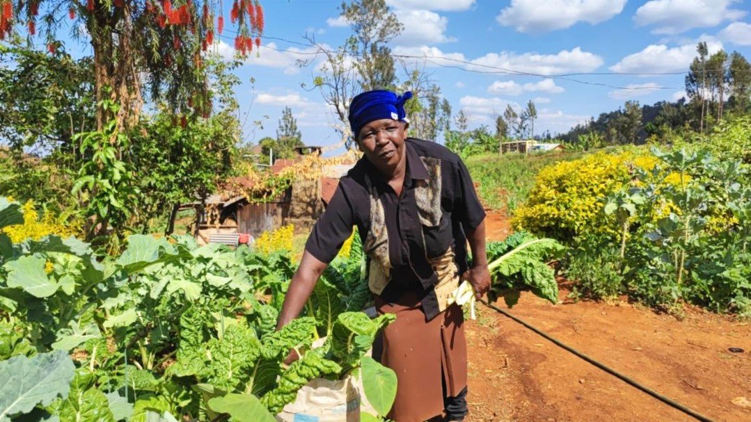 This International Day for the Elimination of Violence Against Women, HopeCore stands in solidarity with women and girls&mdash;affirming their right to safety, dignity, and opportunity. Through access to healthcare, menstrual hygiene support, and eco