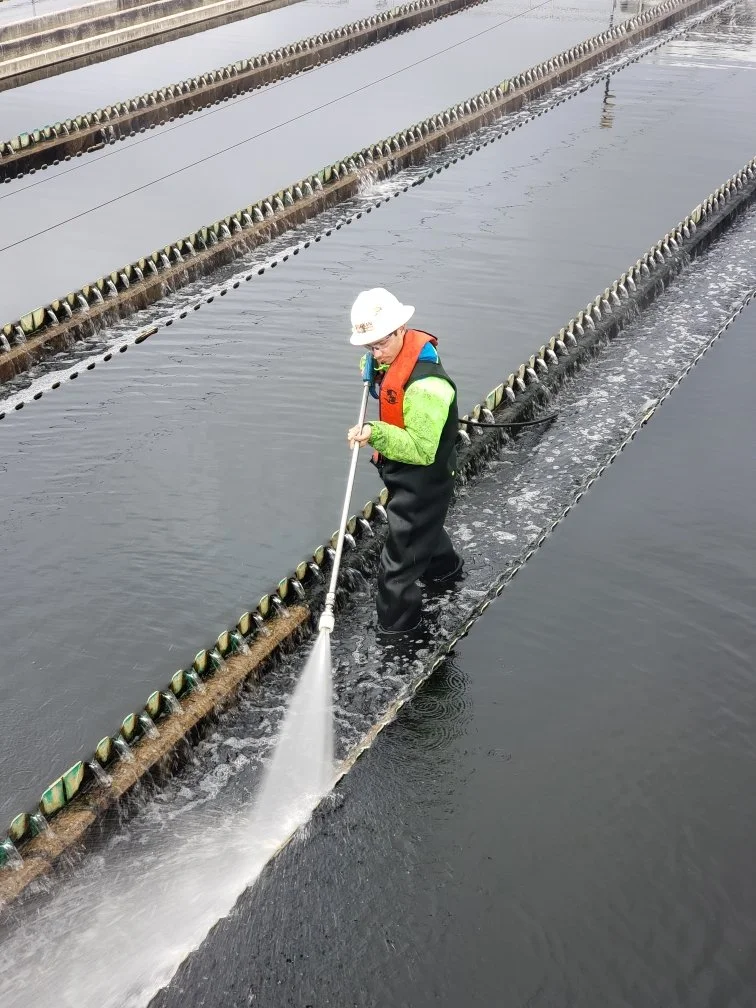 TO_spraying algae_SAT WWTP.jpeg