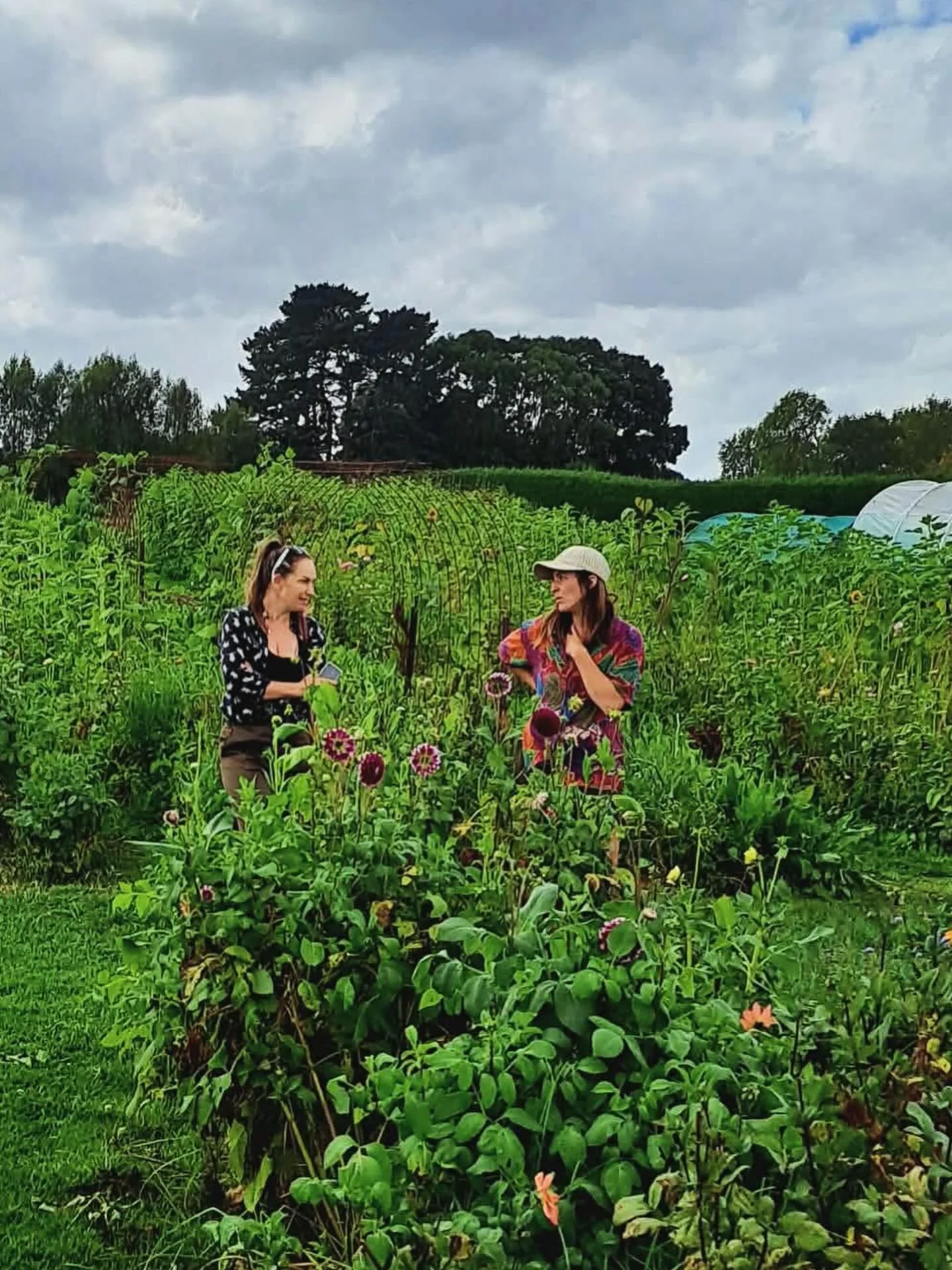 The Slow Blooms team thoroughly enjoyed an inspirational visit to the lovely Brit at @tomtitfarm outside Hamilton 🦋🌻 Loved seeing how Brit incorporated concepts like yoga and other wellness practises with her flower workshops, her practical spaciou