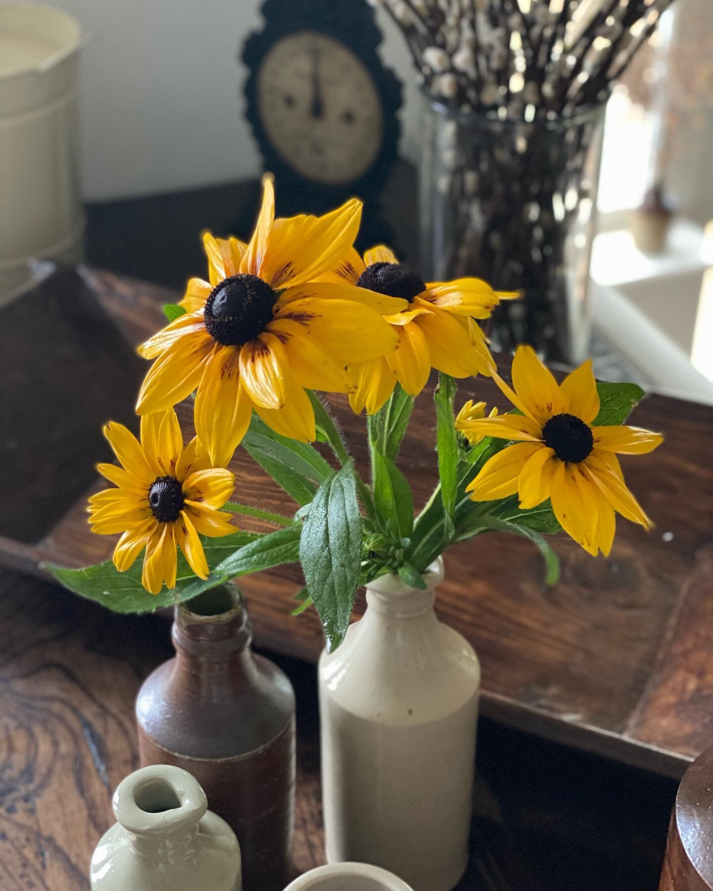 Beautiful Sunbeckia, just picked from the garden to brighten the room on this rainy September morning. 

~