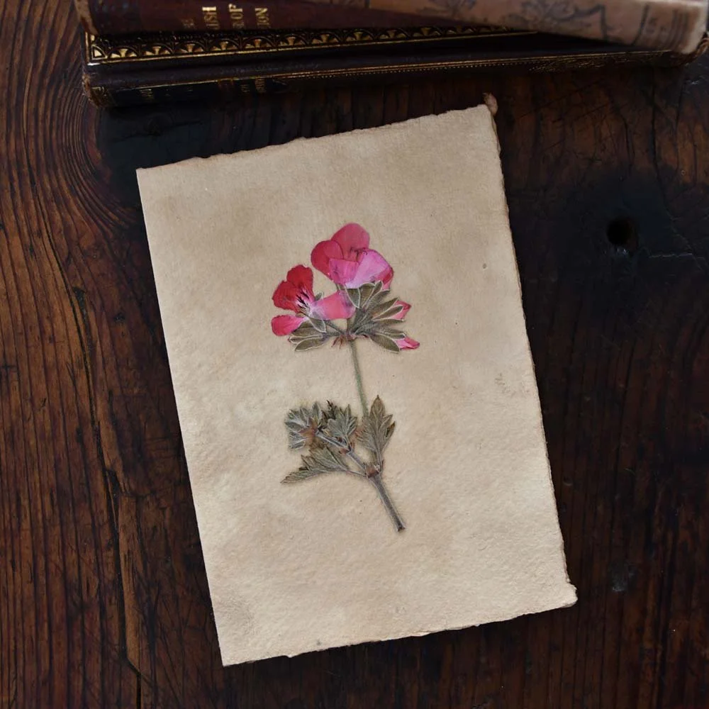 Geranium~ Pressed Botanicals Card