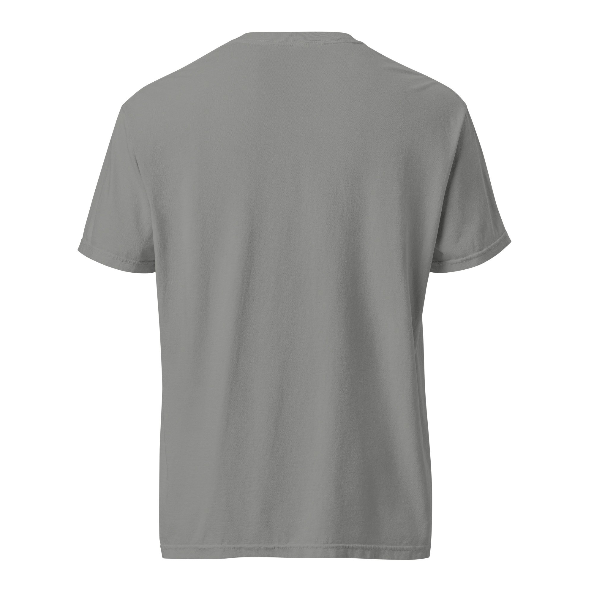 unisex-garment-dyed-heavyweight-t-shirt-grey-back-6876c1c6d208d.jpg
