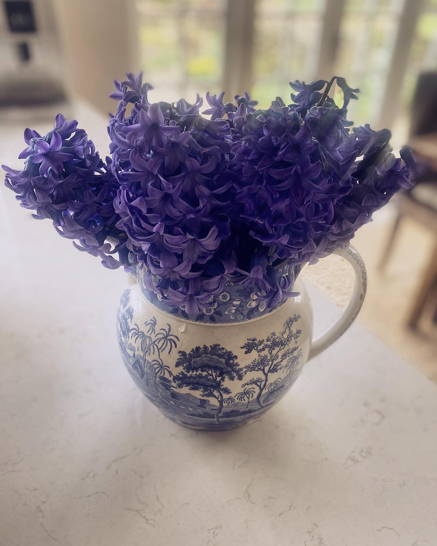 The smell of these freshly cut hydrangeas are a sure sign that spring is in the way 
&bull;
&bull;
&bull;
&bull;
#flower #flowerstagram #flowersofinstagram #garden #floral #plants #flowermagic #floweroftheday #flowerslovers #florist #instaflower #blo