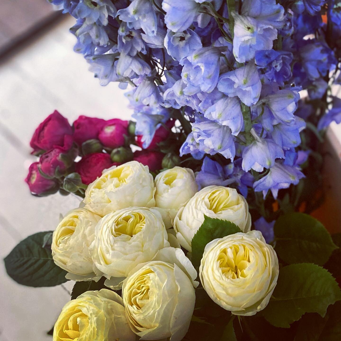 Garden roses, delphiniums, ranunculus 🌺 ❤️ 🦋

&bull;
&bull;
&bull;
&bull;
&bull;
#flower #flowerstagram #flowersofinstagram #garden #floral #plants #flowermagic #floweroftheday #flowerslovers #florist #instaflower #blossom #botanical #bloom #floral