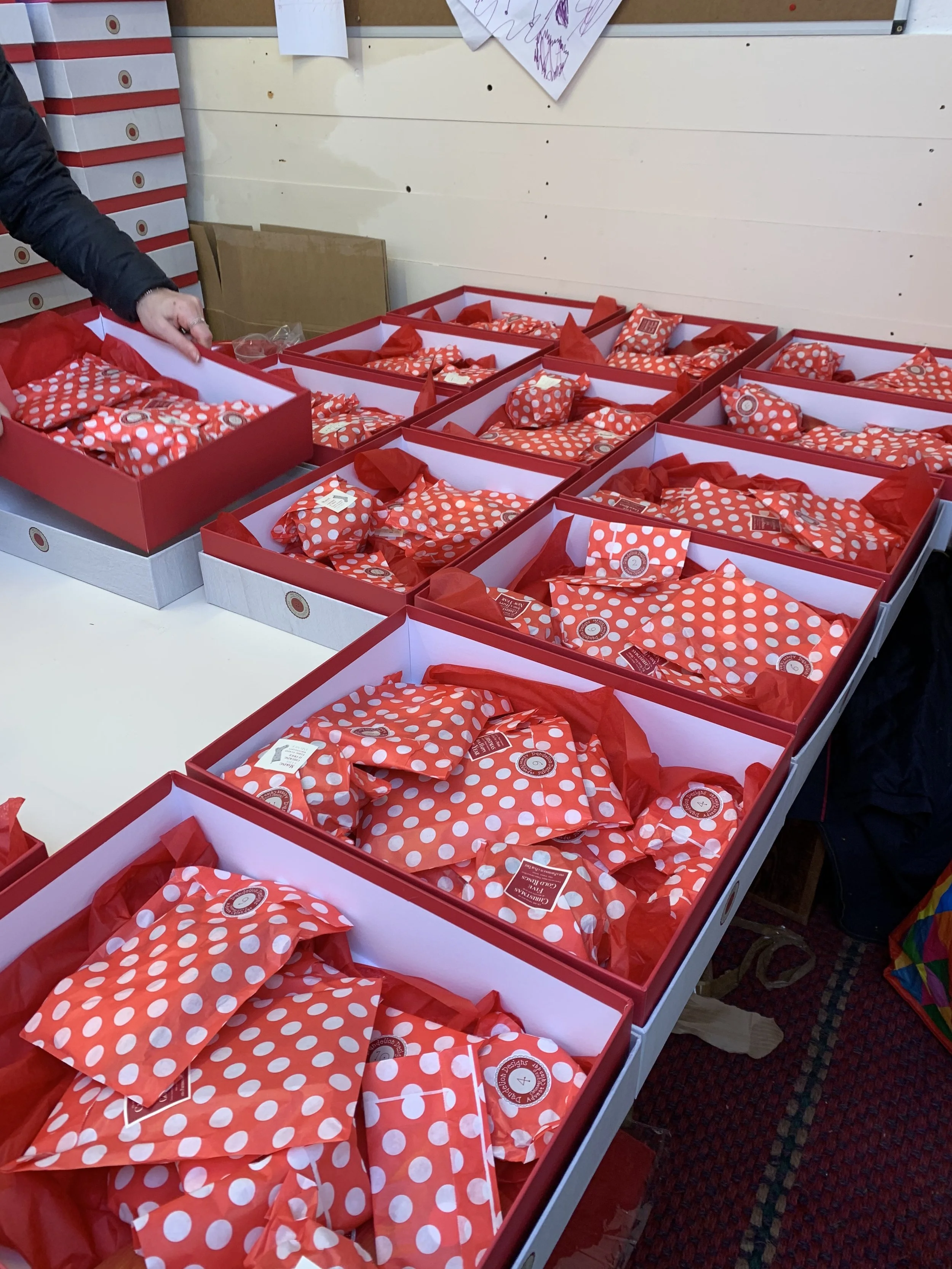 62618307855__9AD6FD1B-CECC-4A48-AD60-13121B349C33 2.JPG