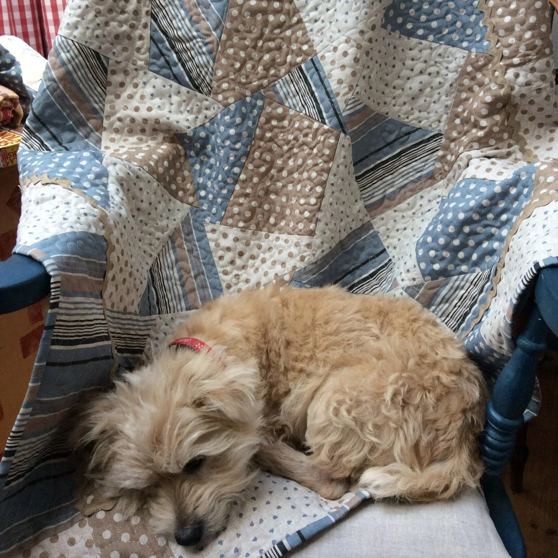 crazy+linen+quilt+%26+ted.jpg