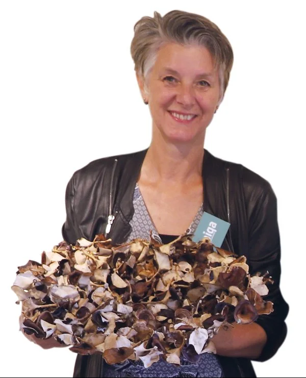 Jette2.jpg