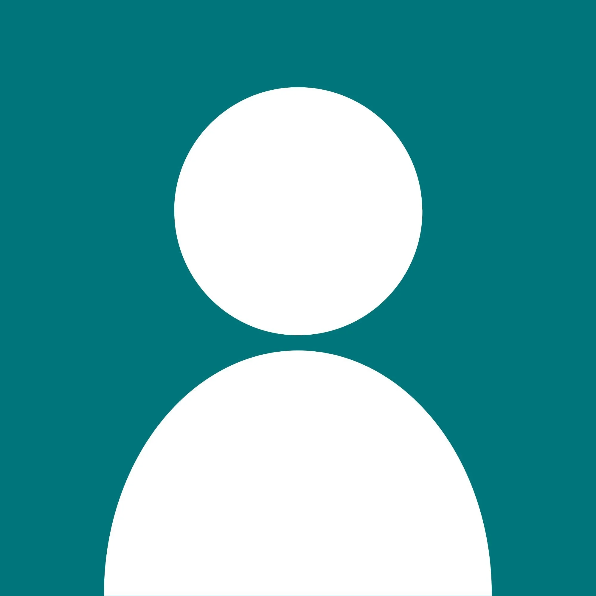 Close-up of a smiling older man with a bald head, light skin, wearing a black t-shirt and a plaid button-up shirt, standing outdoors against a stone wall.