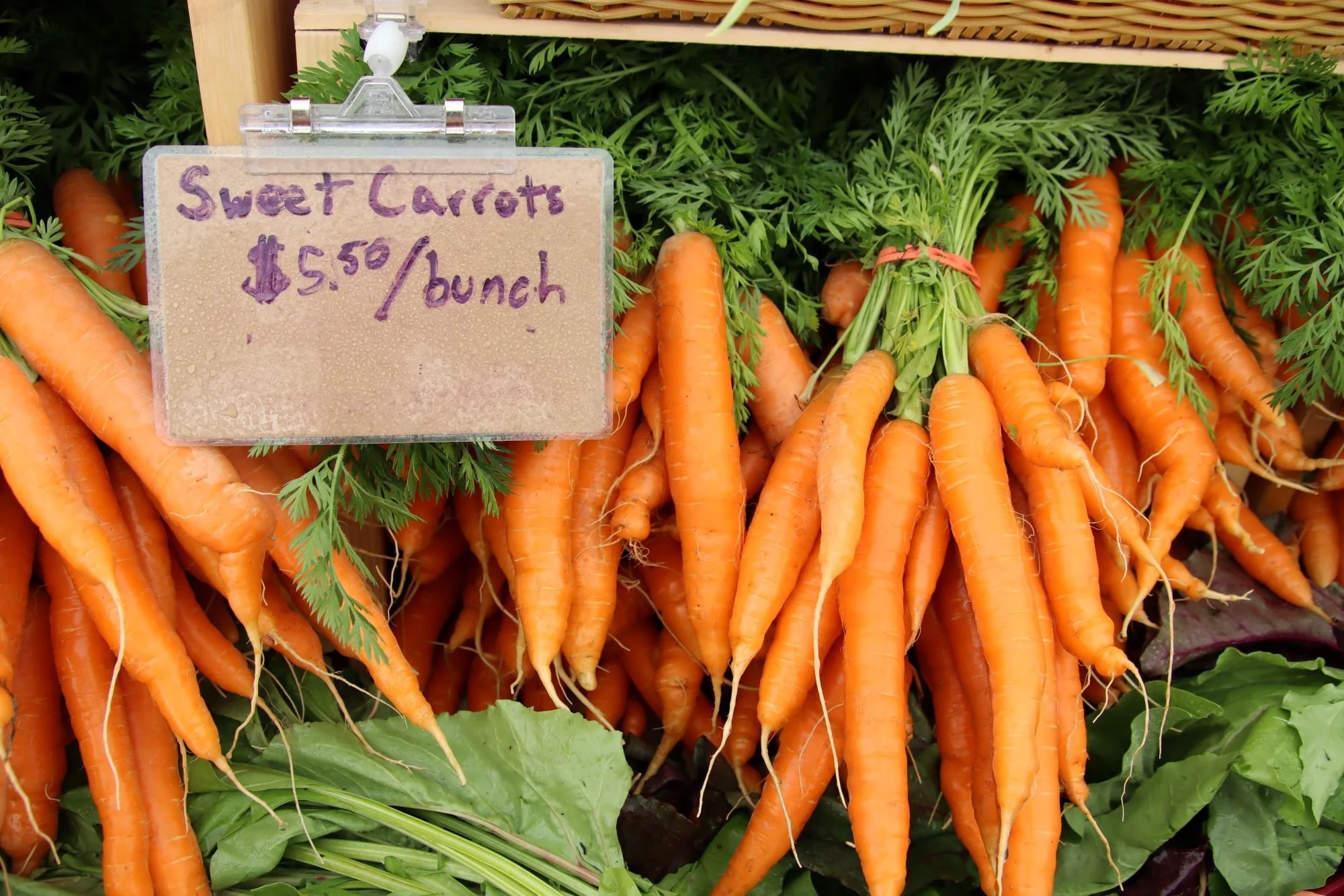IMG_1843_market_carrots.JPG