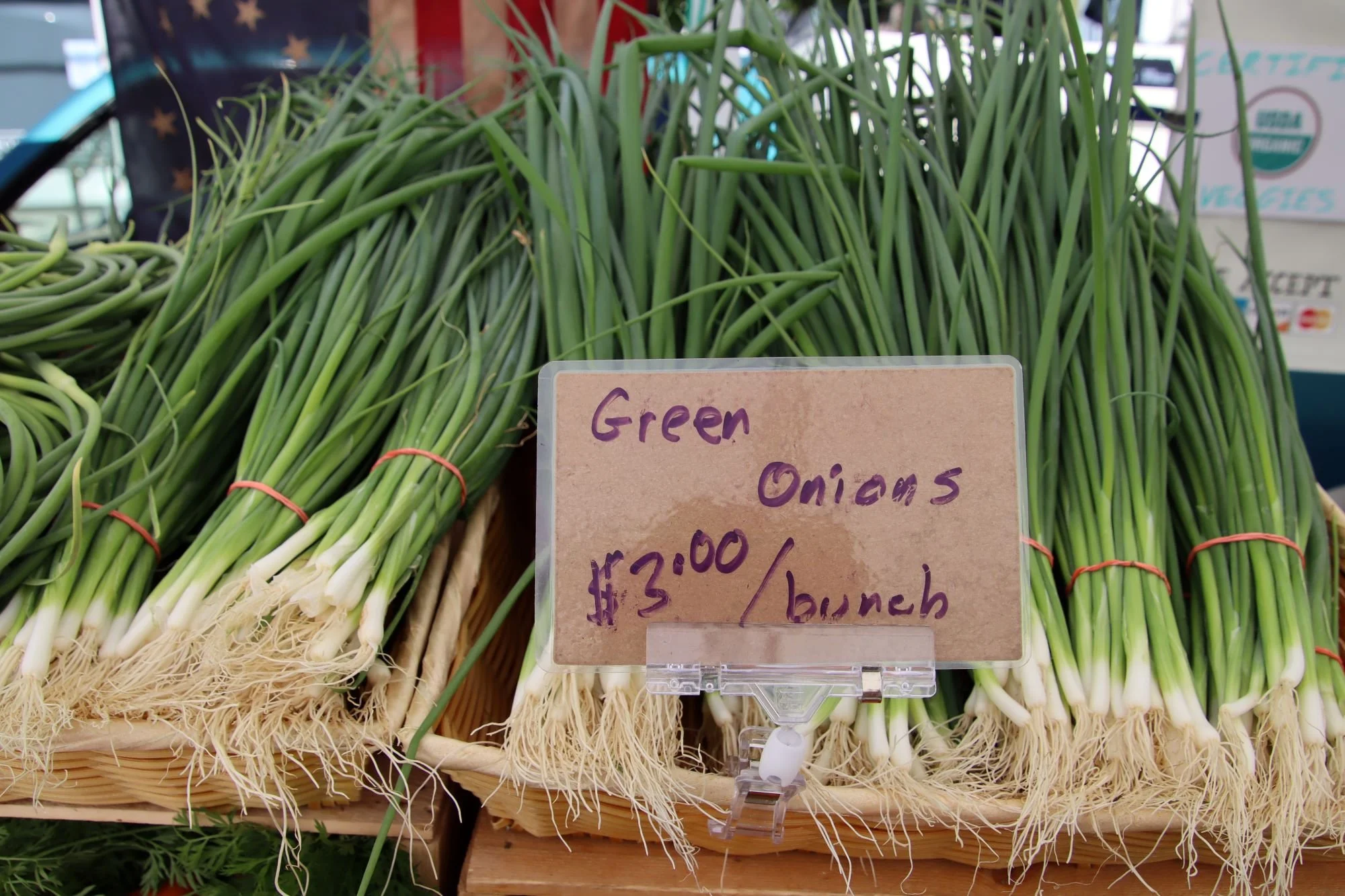 IMG_1845_market_scallions.JPG