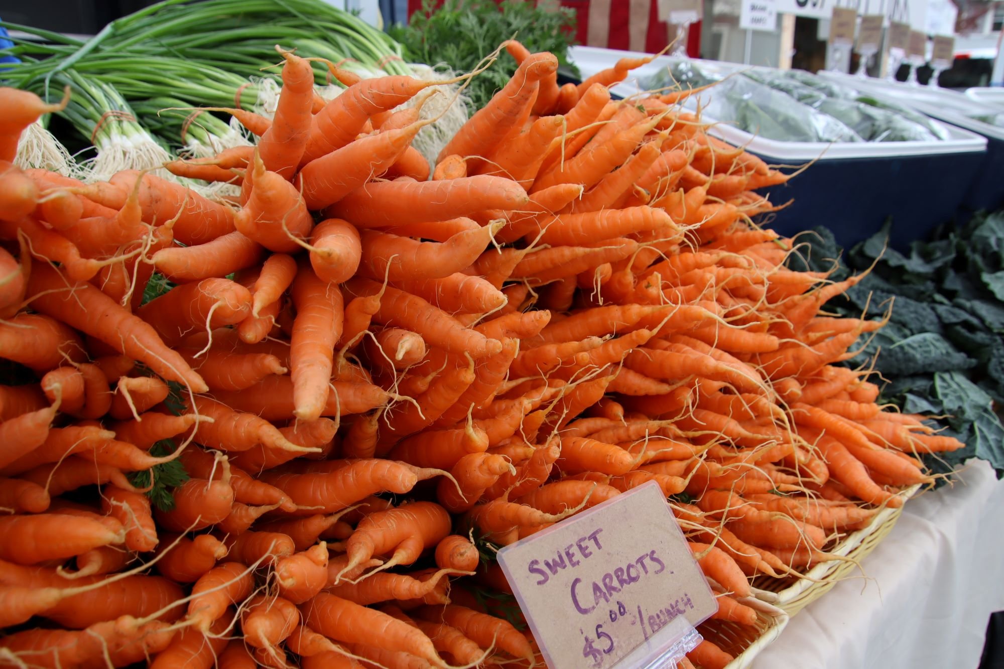 IMG_5557_market_carrots.JPG