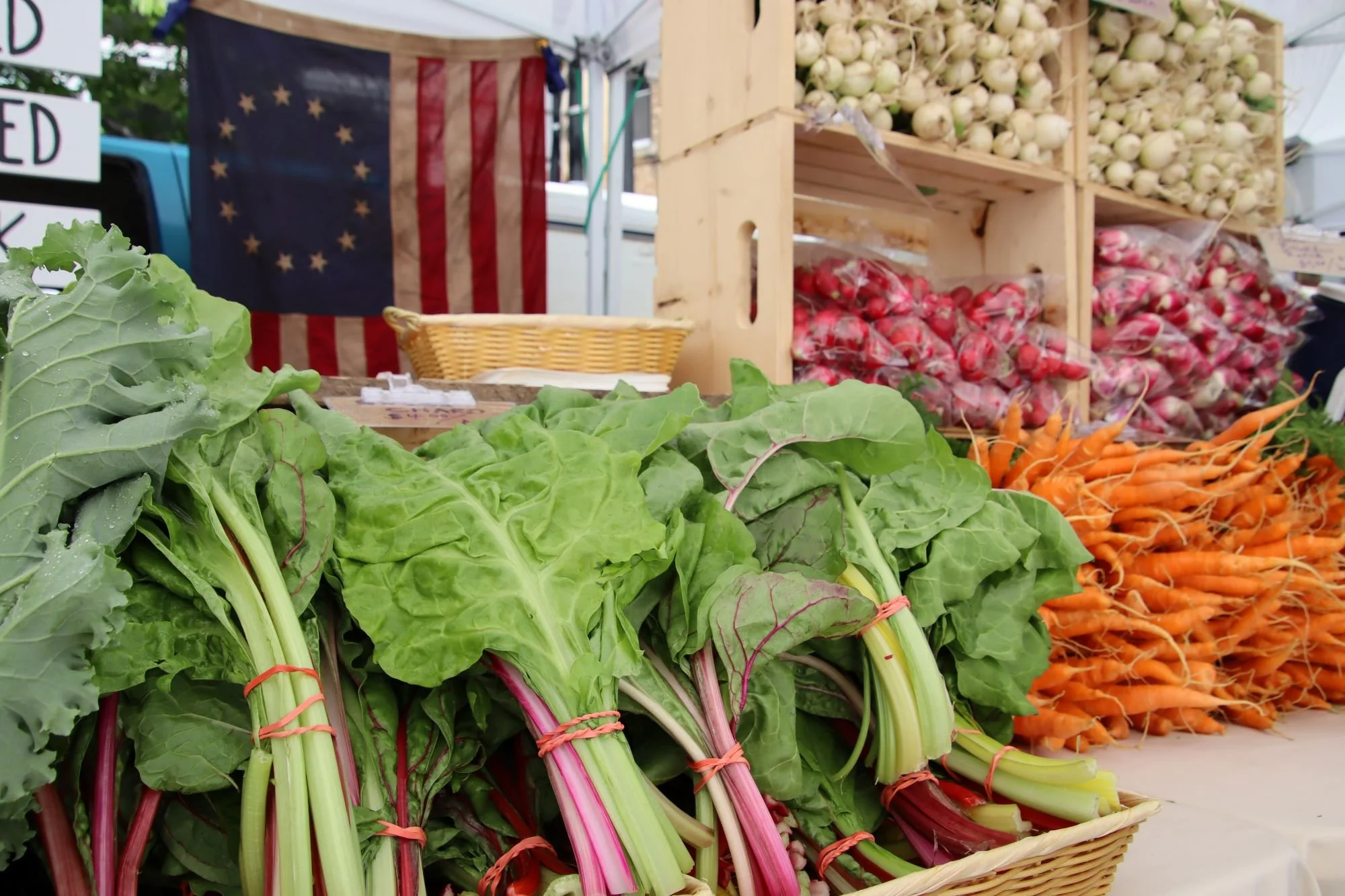 IMG_1635_market_chard.JPG