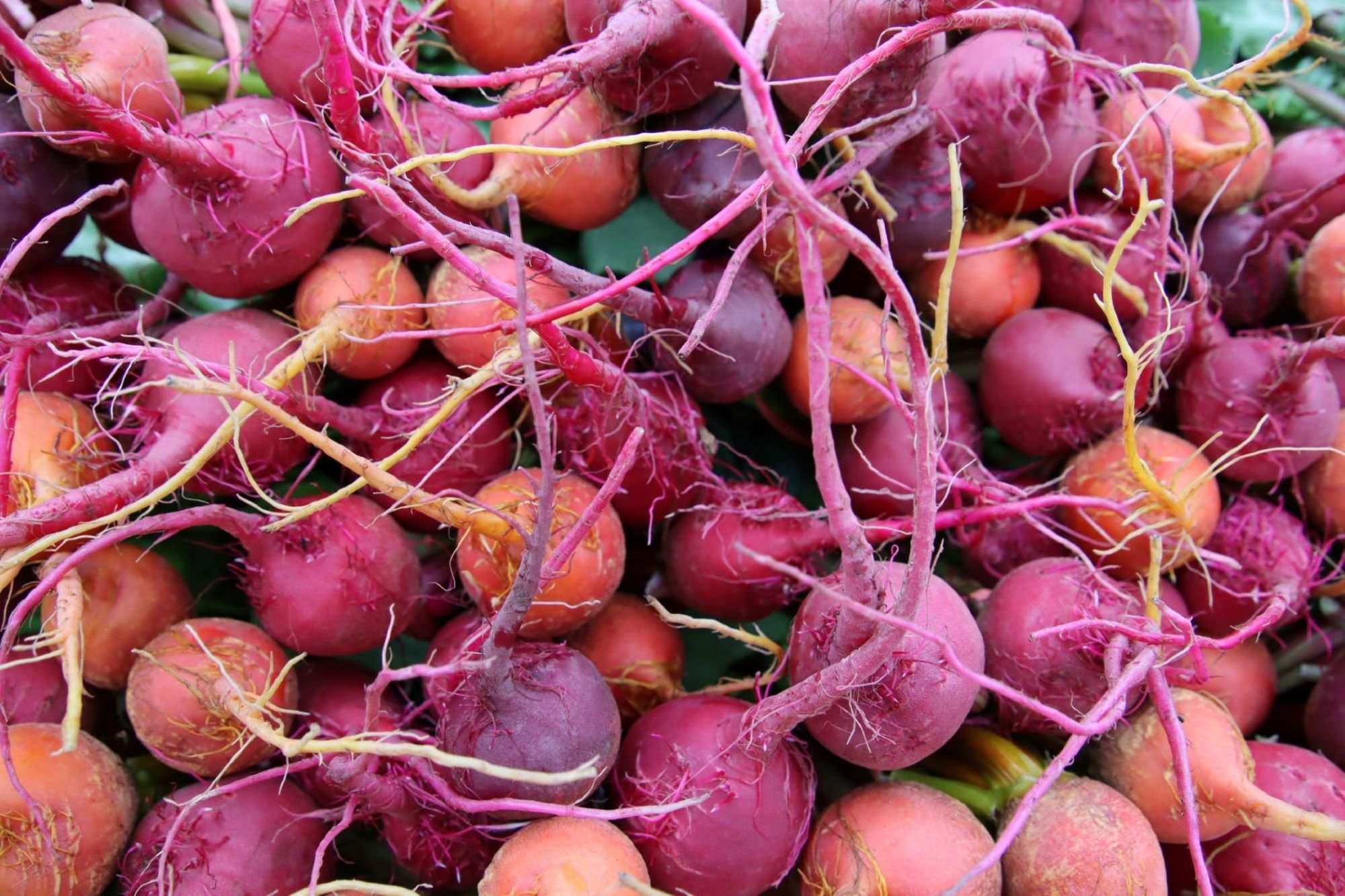 IMG_5564_market_beets.JPG