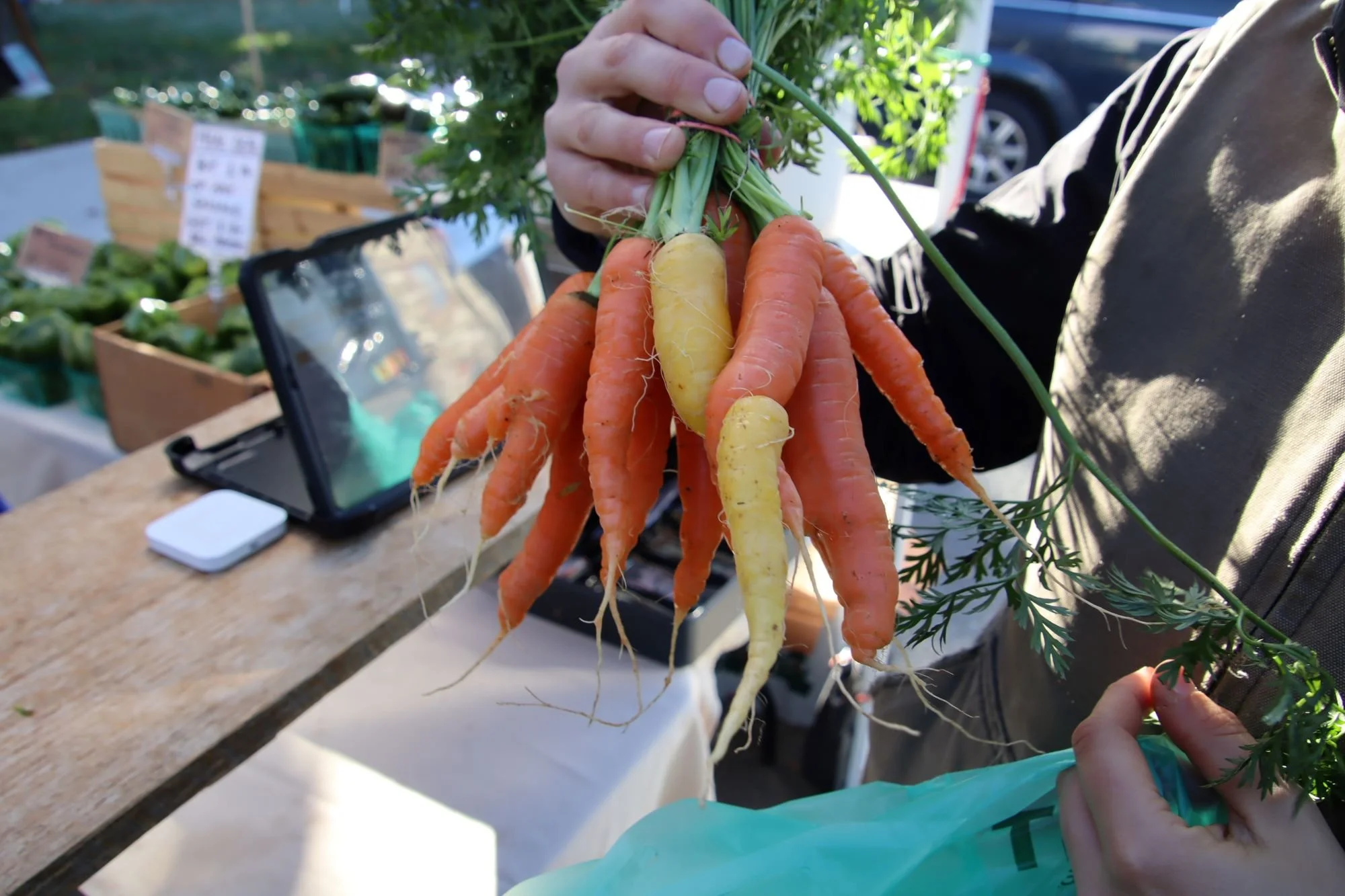 IMG_6548_love-carrots.JPG