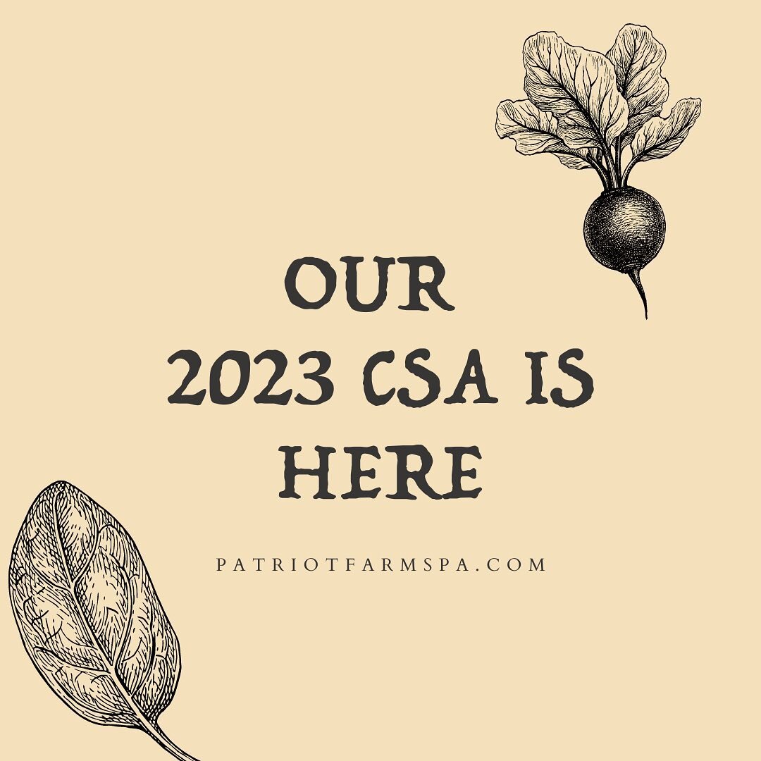 SOME BIG ANNOUNCEMENTS
Hi Everyone!
Things on the farm have been pretty quiet lately, and that&rsquo;s because Ansel and I have been busy planning out some changes for this year.

🥕1. OUR FIRST EVER CSA is here! We&rsquo;ve been wanting to start a C