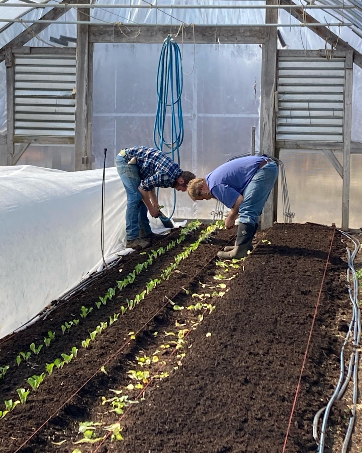 Pssttt- tomorrow is the LAST day to sign up for the early bird discount on our 2023 summer CSA. 🥕🥬🌱

Don&rsquo;t worry, if you don&rsquo;t snag a share at our discounted price, you still have plenty of time to sign up for a regular priced share. 
