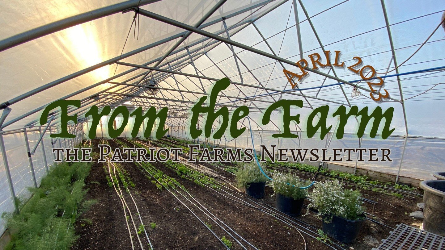 From the Farm - April 2023 Newsletter is out now! 
Link is in comments, or find it via our Facebook!