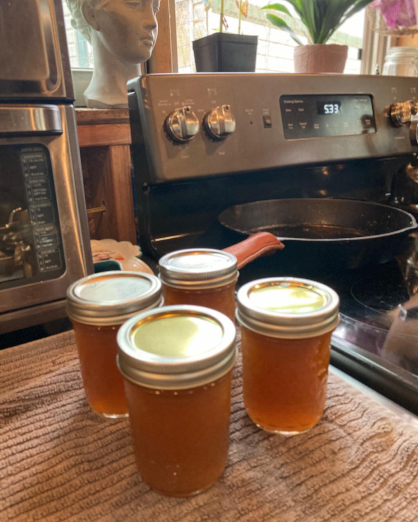 Freshly canned Dandelion Honey Jelly🌞
A huge part of why Ansel &amp; I got into farming organically is because we wanted to take care of the land, grow good food, and preserve it for leaner times. 

When we started farming, I had no idea how to grow