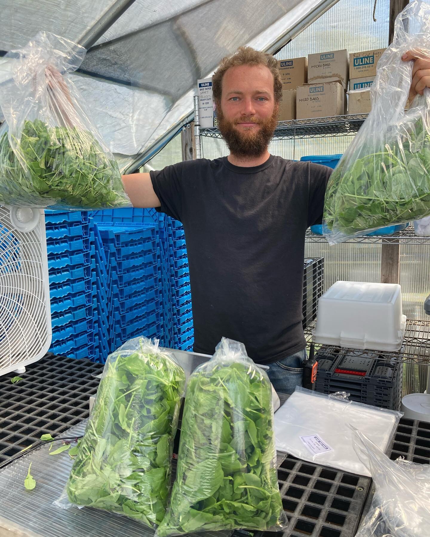 Salad Man Sam wants everyone to know: BUY 2 ARUGULA, GET 1 FREE this weekend!! 🥬

And we have LOTS of other organic goodies for you this weekend 🥕🌱

Three ways to get the veg: 
- Our sweet little farm store
- Lehighton Downtown FM this Saturday (o