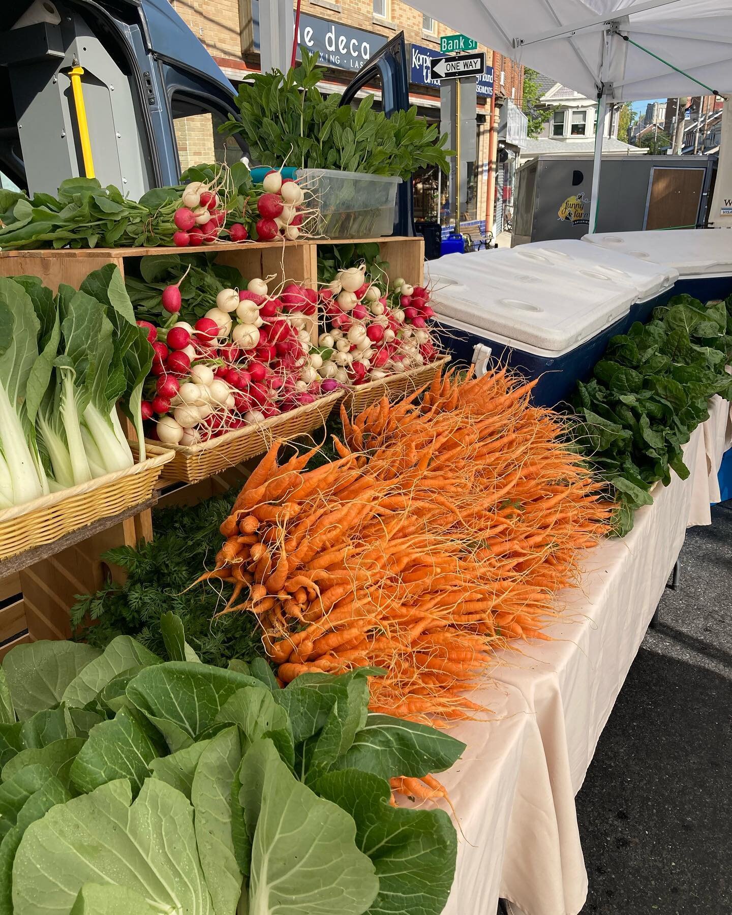 Some of first colorful veggies available this weekend at our farm store &amp; at @emmausfarmmkt 

I wanted to be a bit more active on here the last couple of weeks, but we&rsquo;ve been working hard on the farm &amp; sometimes it&rsquo;s hard to do a