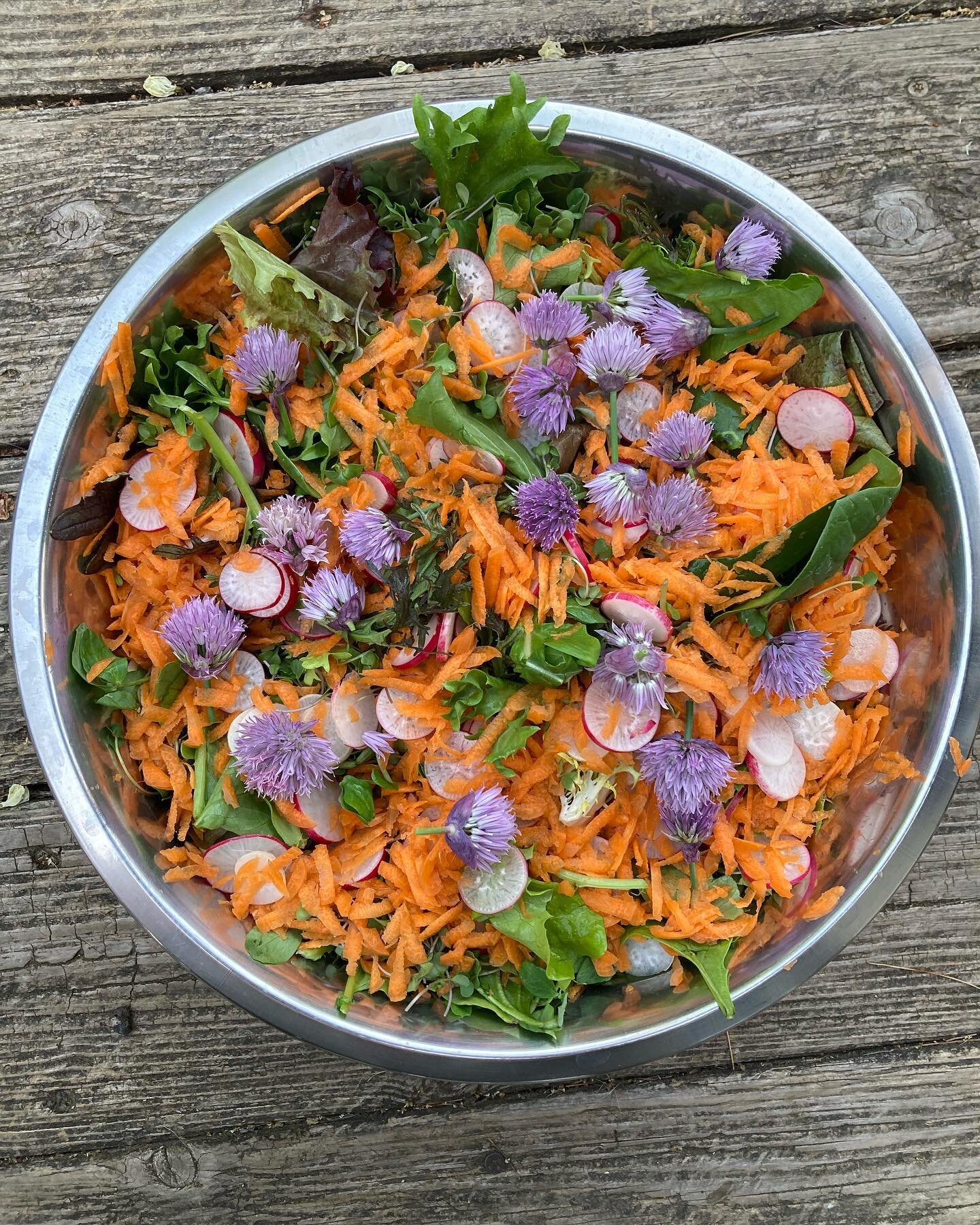 When your friends invite you to dinner and you can&rsquo;t bring a normal salad (Ansel is a salad master) 🥕🥬

#patriotfarmspa #organic #berkscountypa #salad