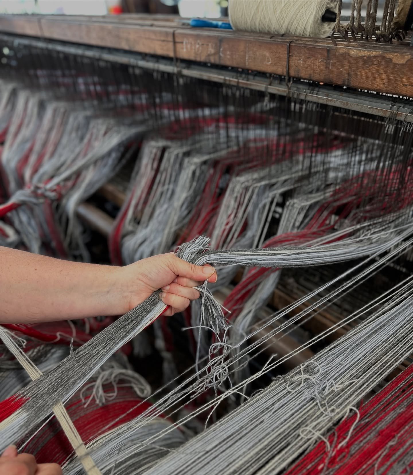 A meeting and research at the Woollen Museum yesterday and a few pics taken for the work I am undertaking there. 

Tying in the warp&hellip; over 2,000 threads. 

#amgueddfacymru 
#nationalmuseumofwales 
#welshwool
#Britishwool
#cambrianwool
@museumw