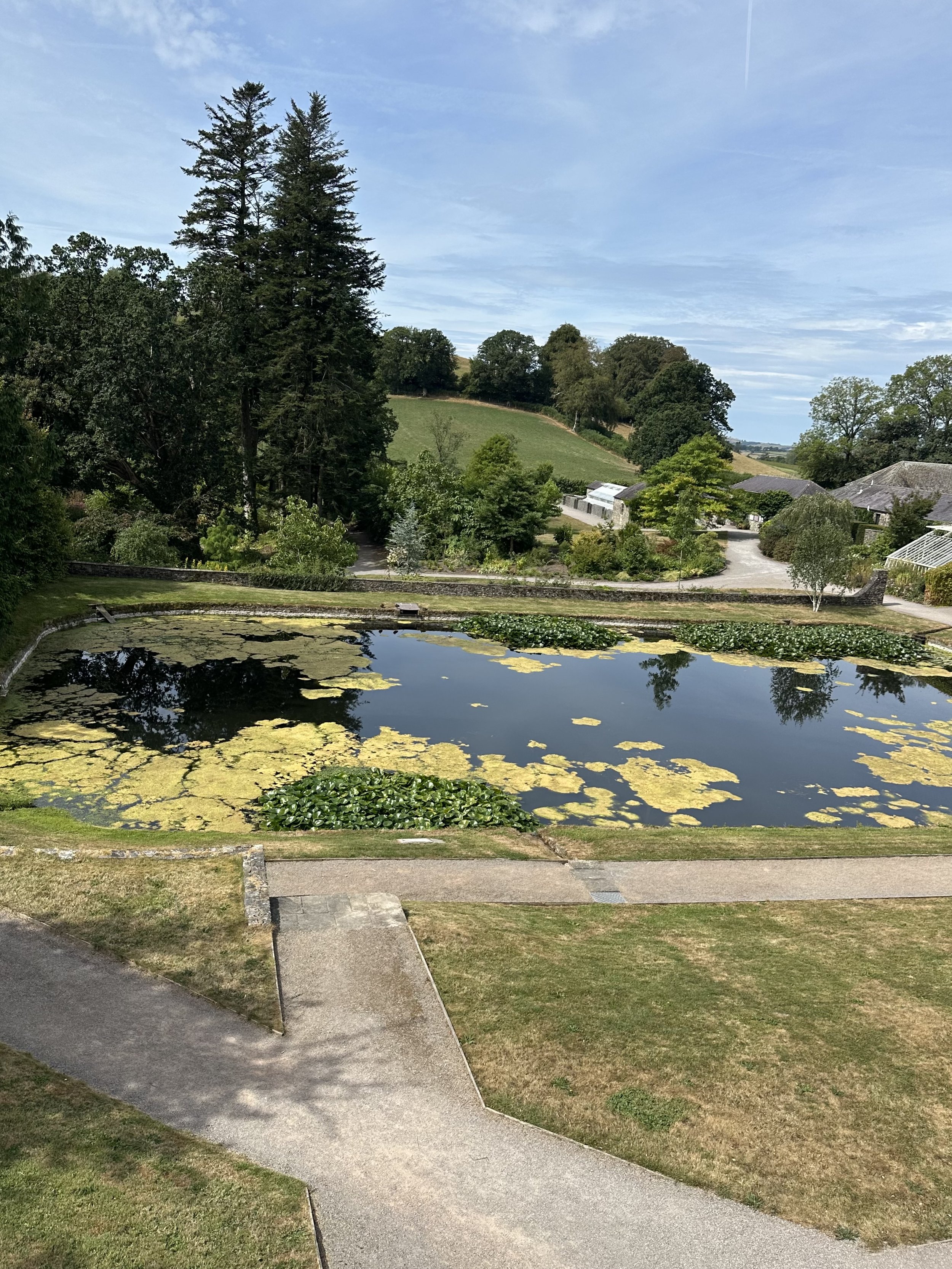 IMG_3733.jpeg