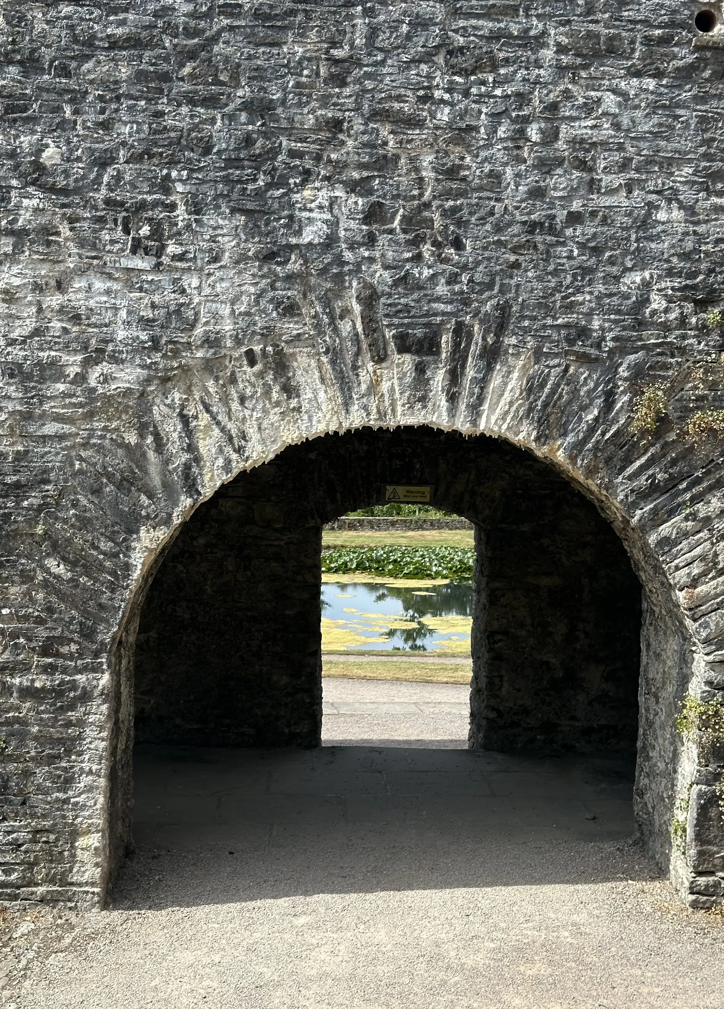 IMG_3736.jpeg