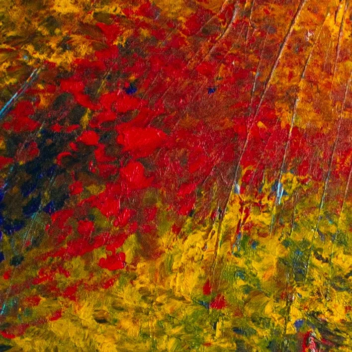 explosion de couleurs-1.jpg