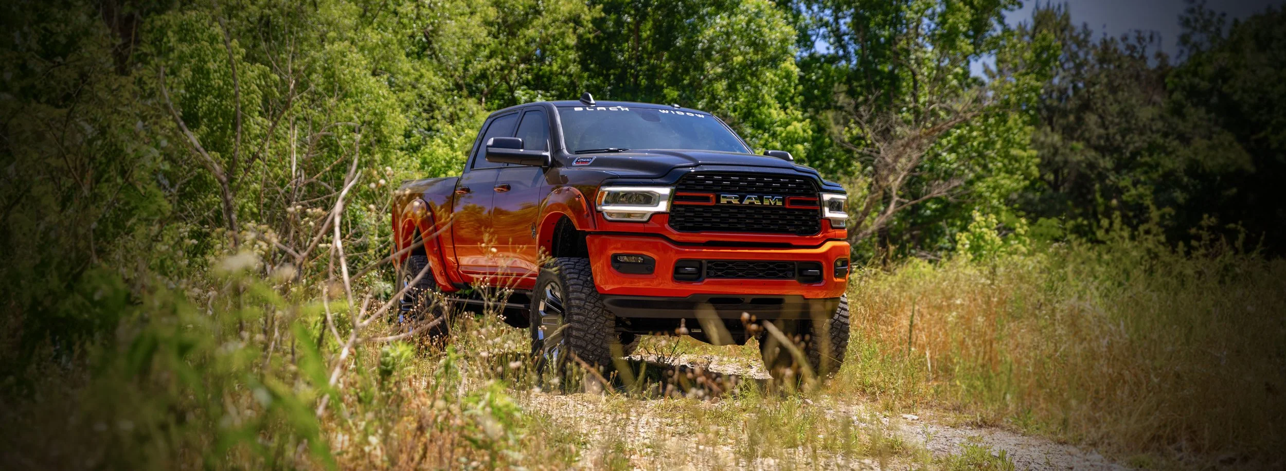 Black Widow Lifted Trucks