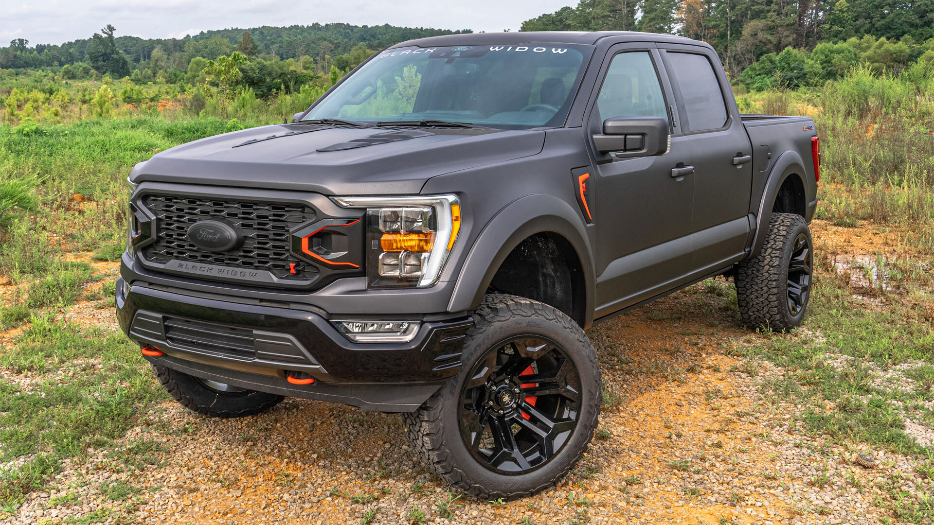 Black Widow Limited Ford F-150