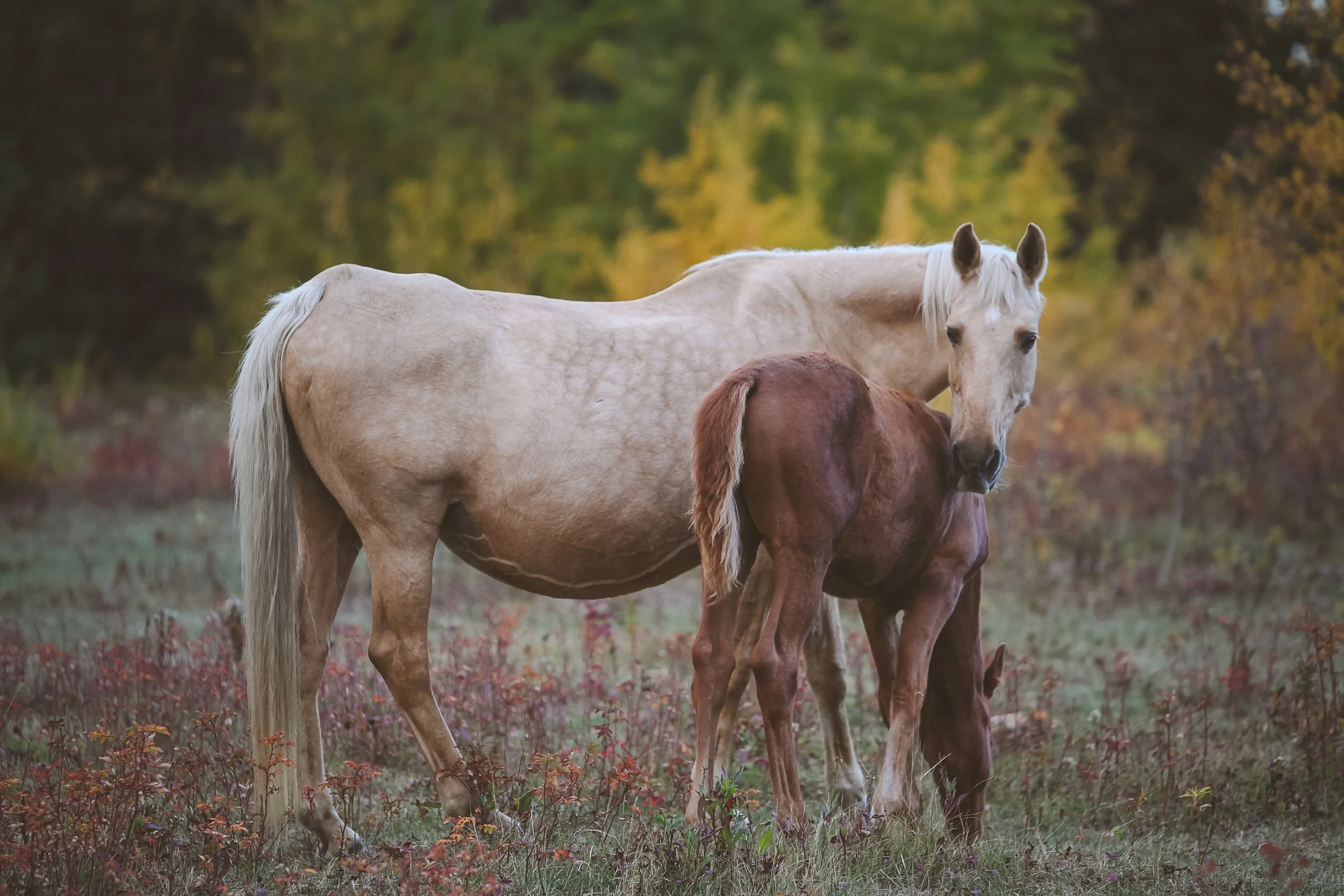 Silence and mockery are still participation.