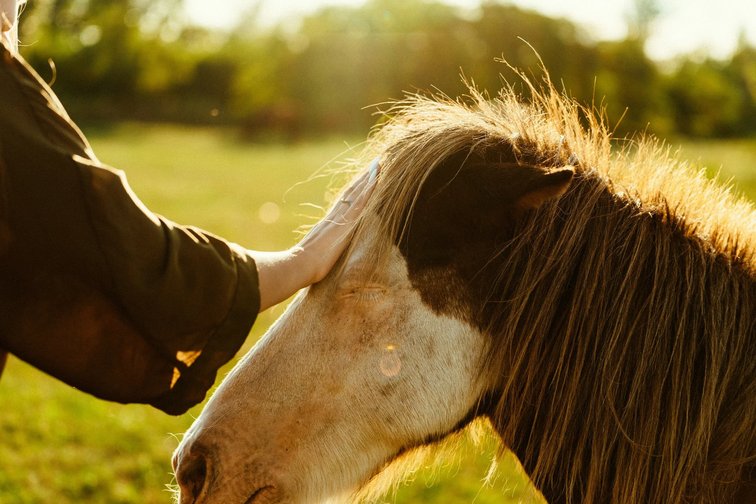 When Compassion Becomes a Crime