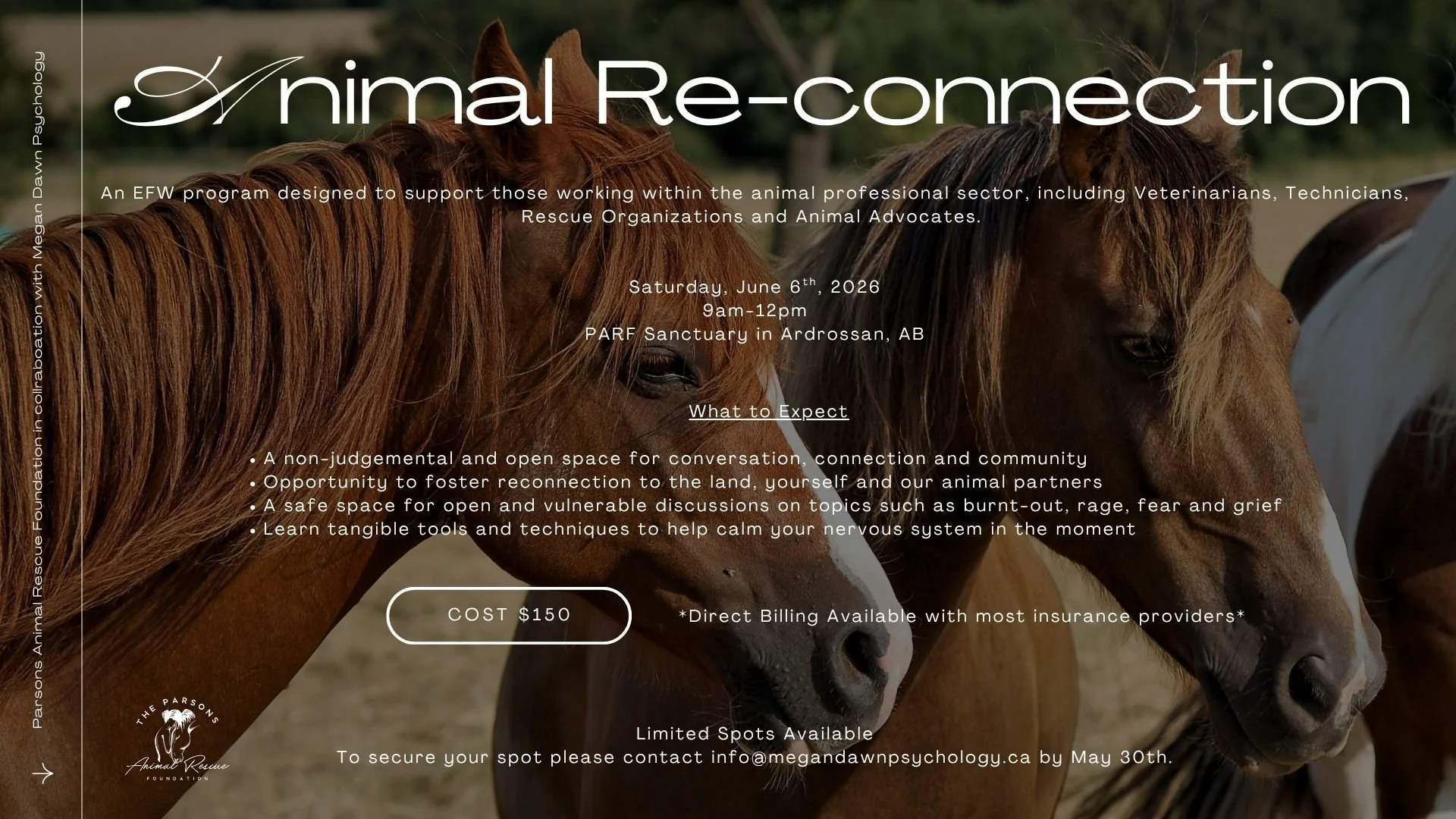 Animal Re-Connection Group