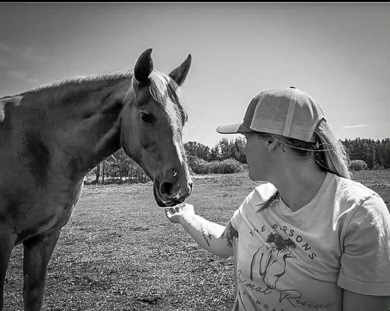 02002e77-2550-4f2a-b4f8-fef15e8e6cd1.jfif