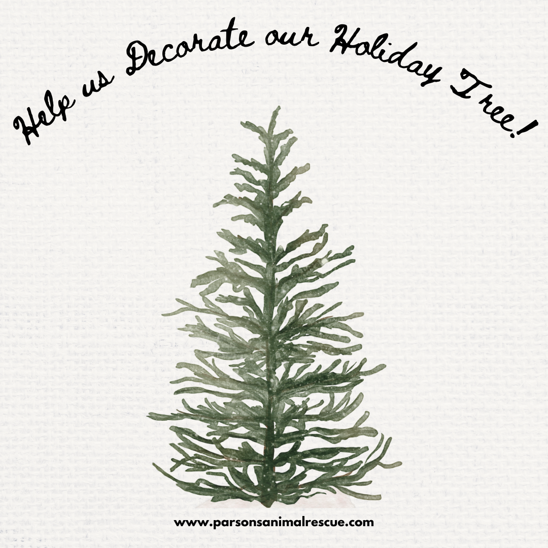 Sanctuary Tree Decorating