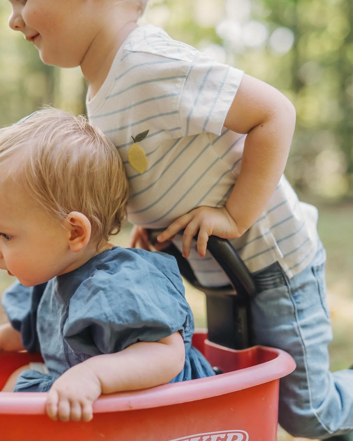 The Bazemore family came to me through a mini session effort gone south this past Spring as I eased into moving my business to North Carolina. They were my only family who signed up, so I decided why not give them a full session? We spent an hour tog