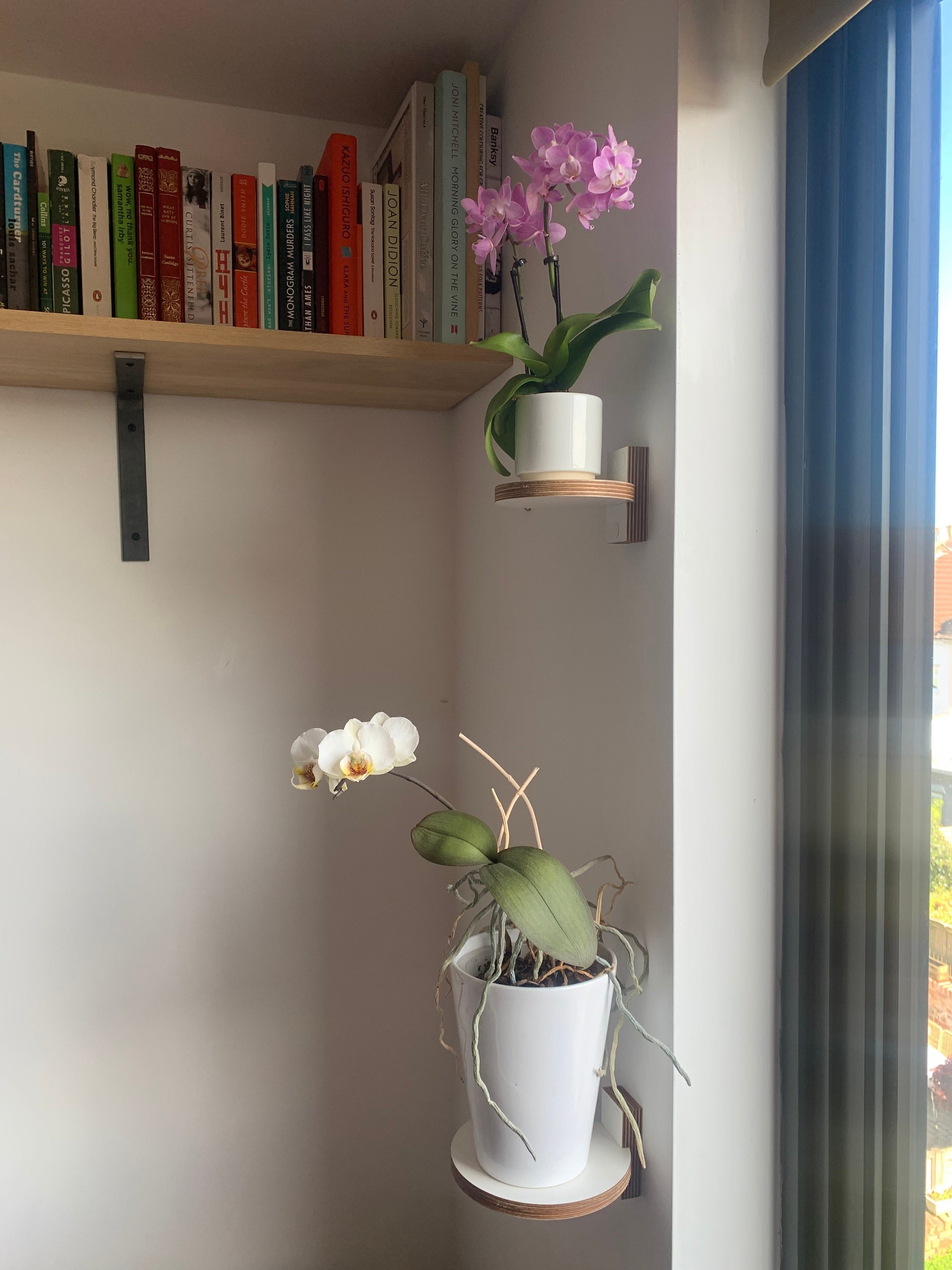 https://i.etsystatic.com/12015188/r/il/cdf1de/3875073218/il_fullxfull.3875073218_5ukl.jpg