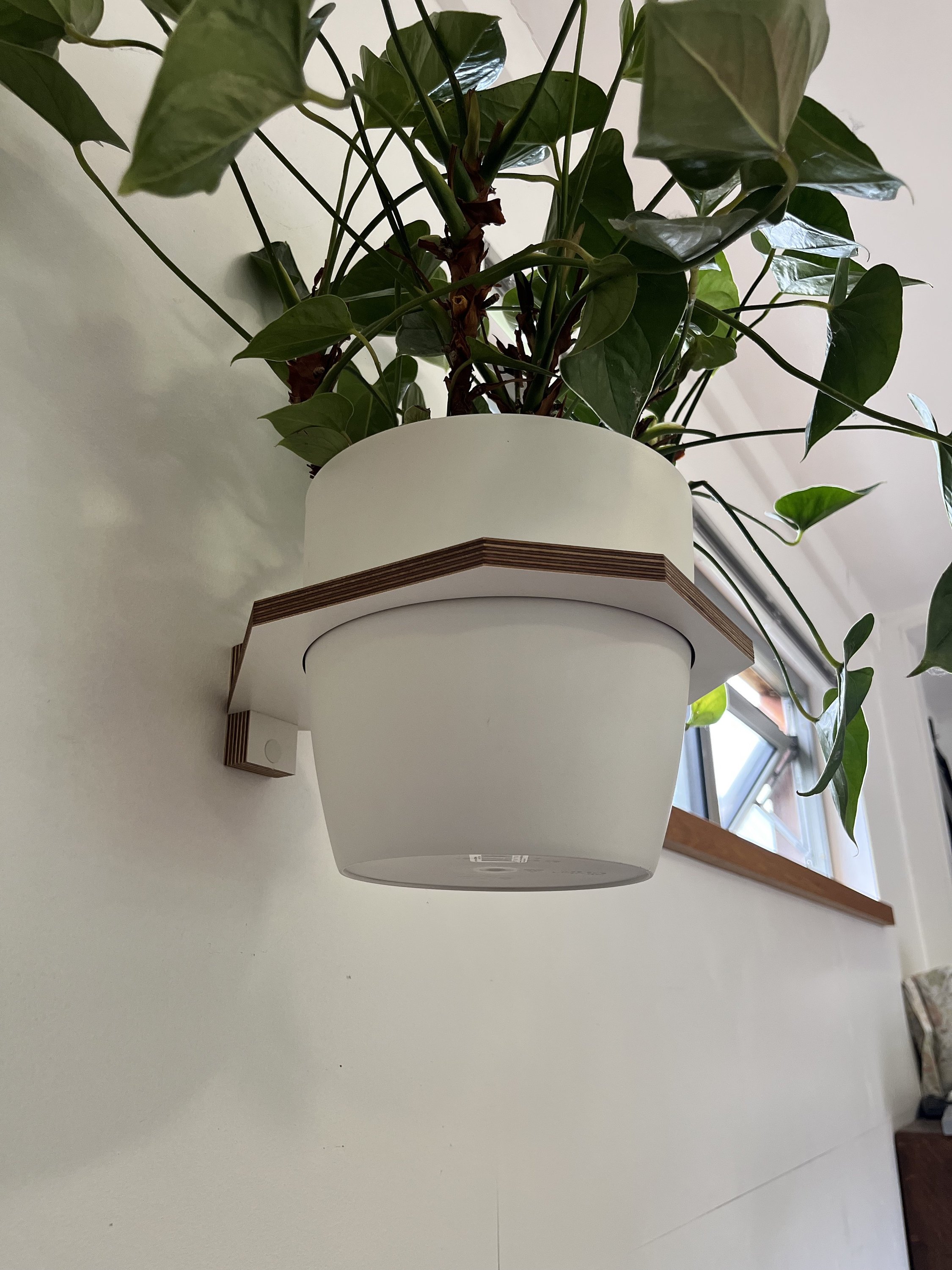 https://i.etsystatic.com/12015188/r/il/5ac1e5/5228940701/il_fullxfull.5228940701_6wkq.jpg