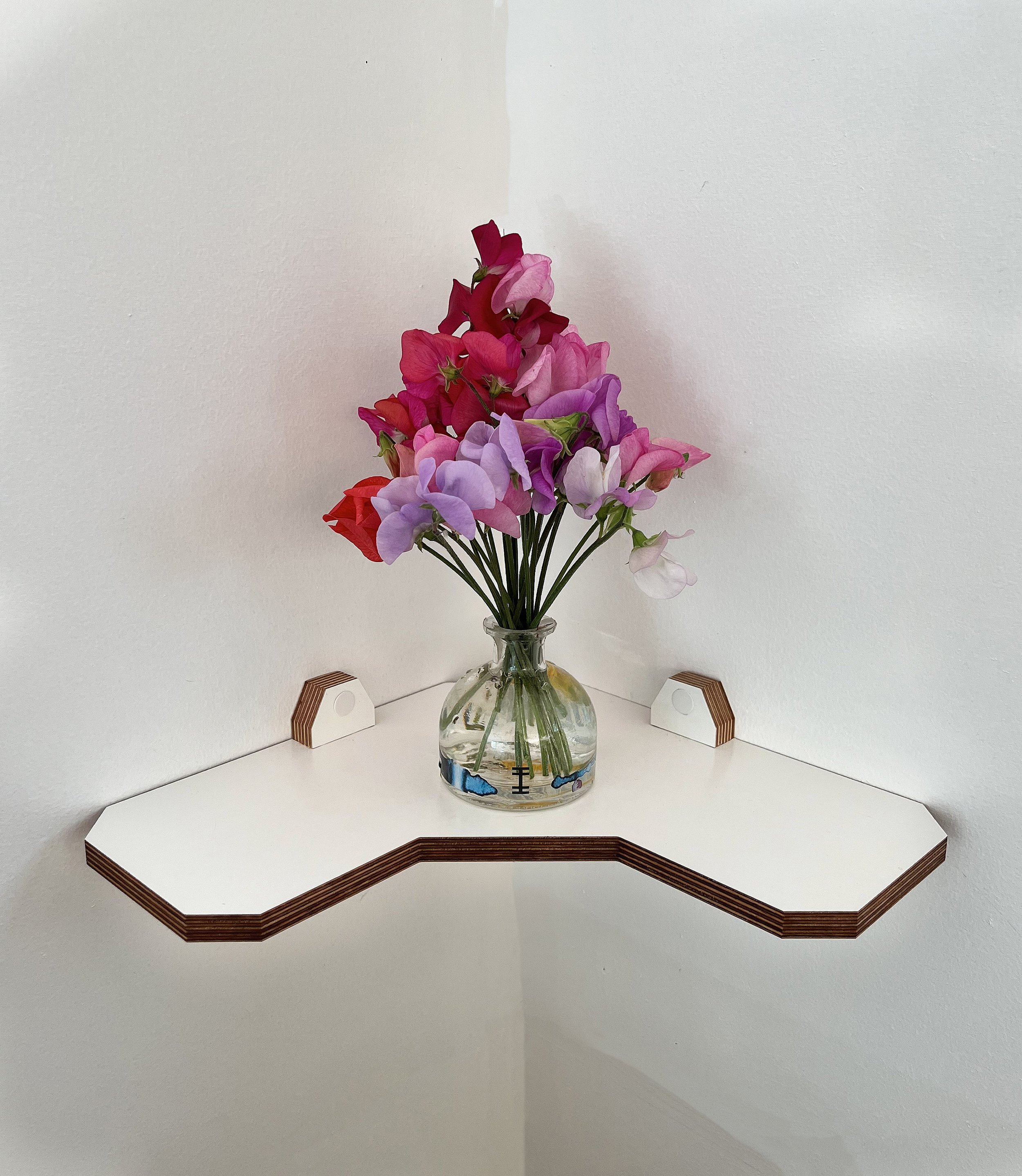 https://i.etsystatic.com/12015188/r/il/76c9a0/5225143077/il_fullxfull.5225143077_76yu.jpg
