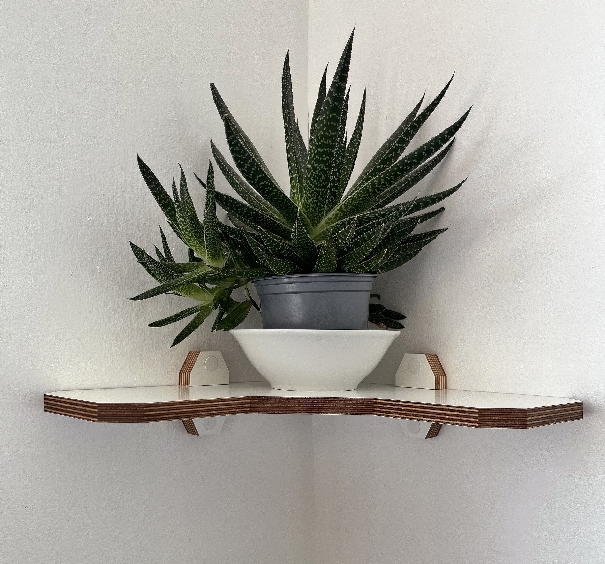 https://i.etsystatic.com/12015188/r/il/fc088b/5223031117/il_fullxfull.5223031117_8sh7.jpg