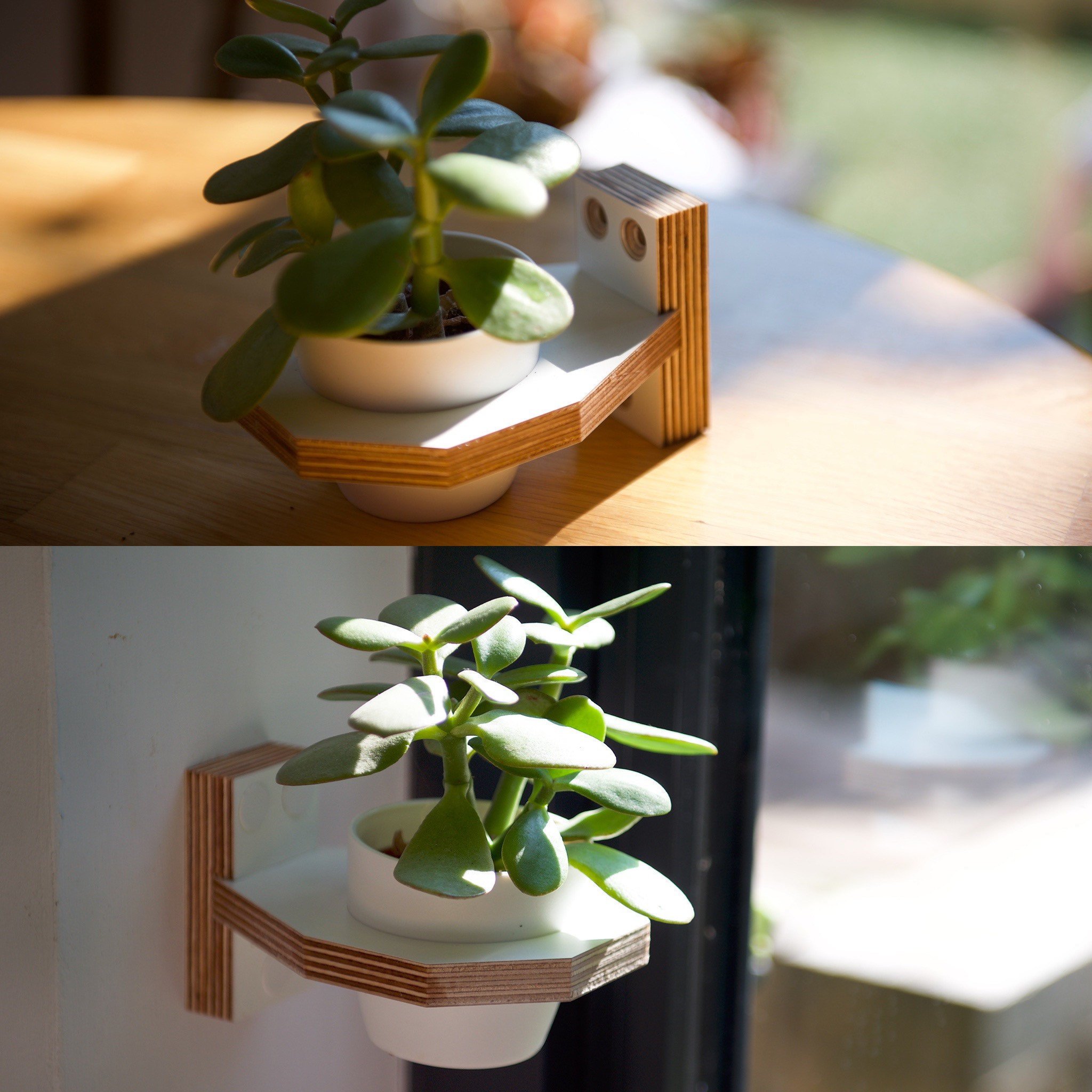 https://i.etsystatic.com/12015188/r/il/ef2cfa/2672098921/il_fullxfull.2672098921_dn2n.jpg