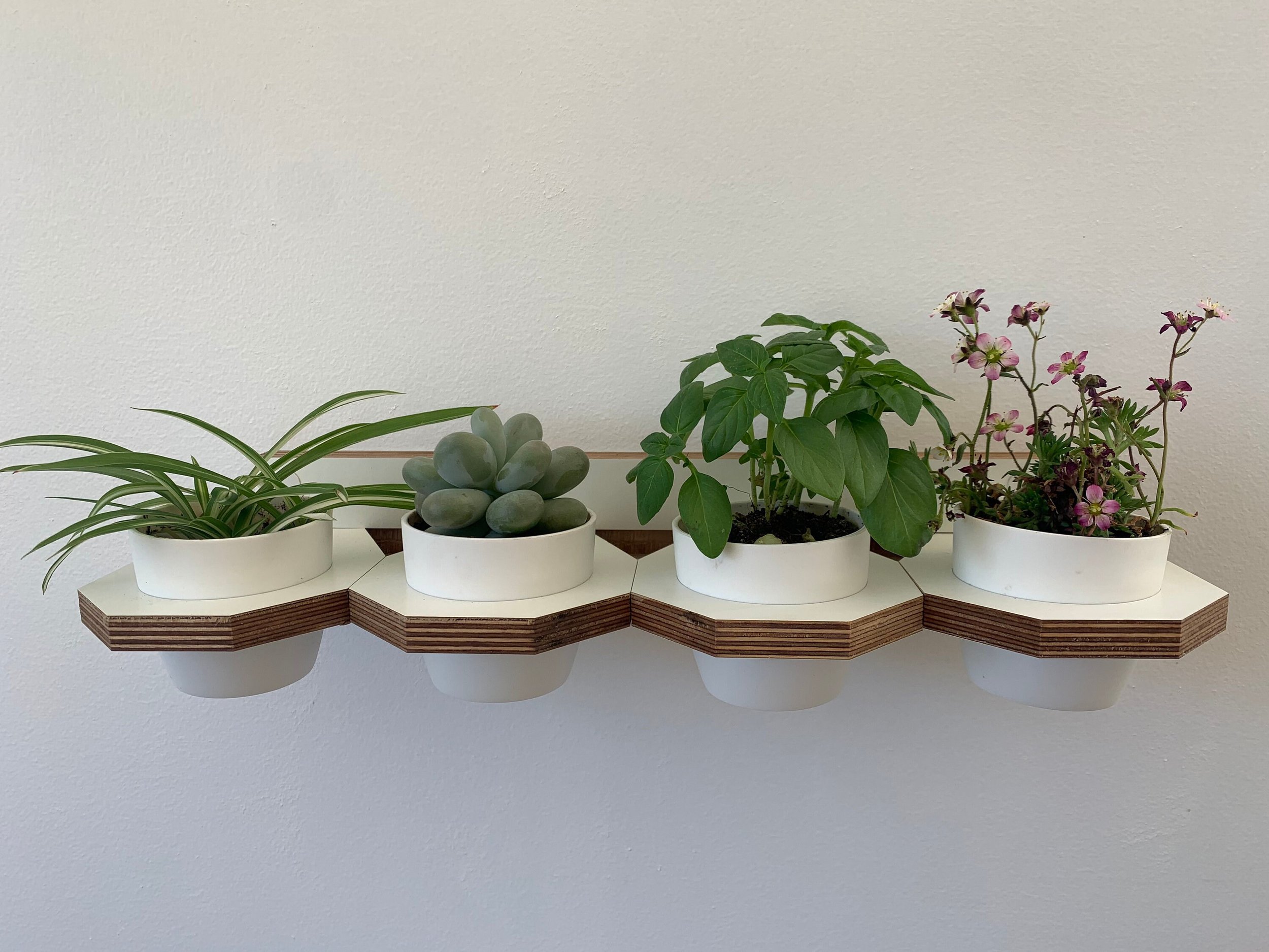 https://i.etsystatic.com/12015188/r/il/9660be/3033024318/il_fullxfull.3033024318_ftnz.jpg