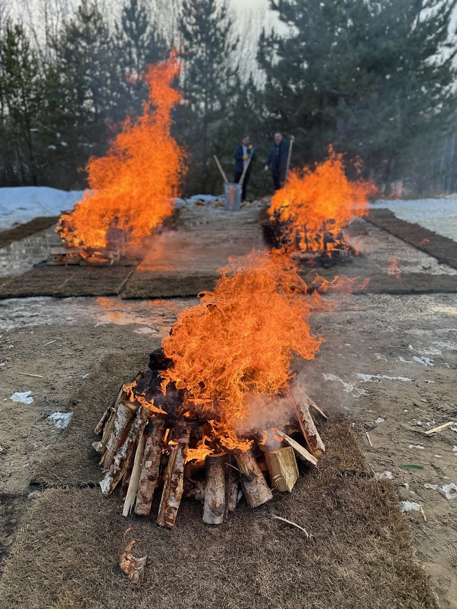 Multiple small fires on bundles of logs arranged in a circle outdoors, with two people in the background planting trees.