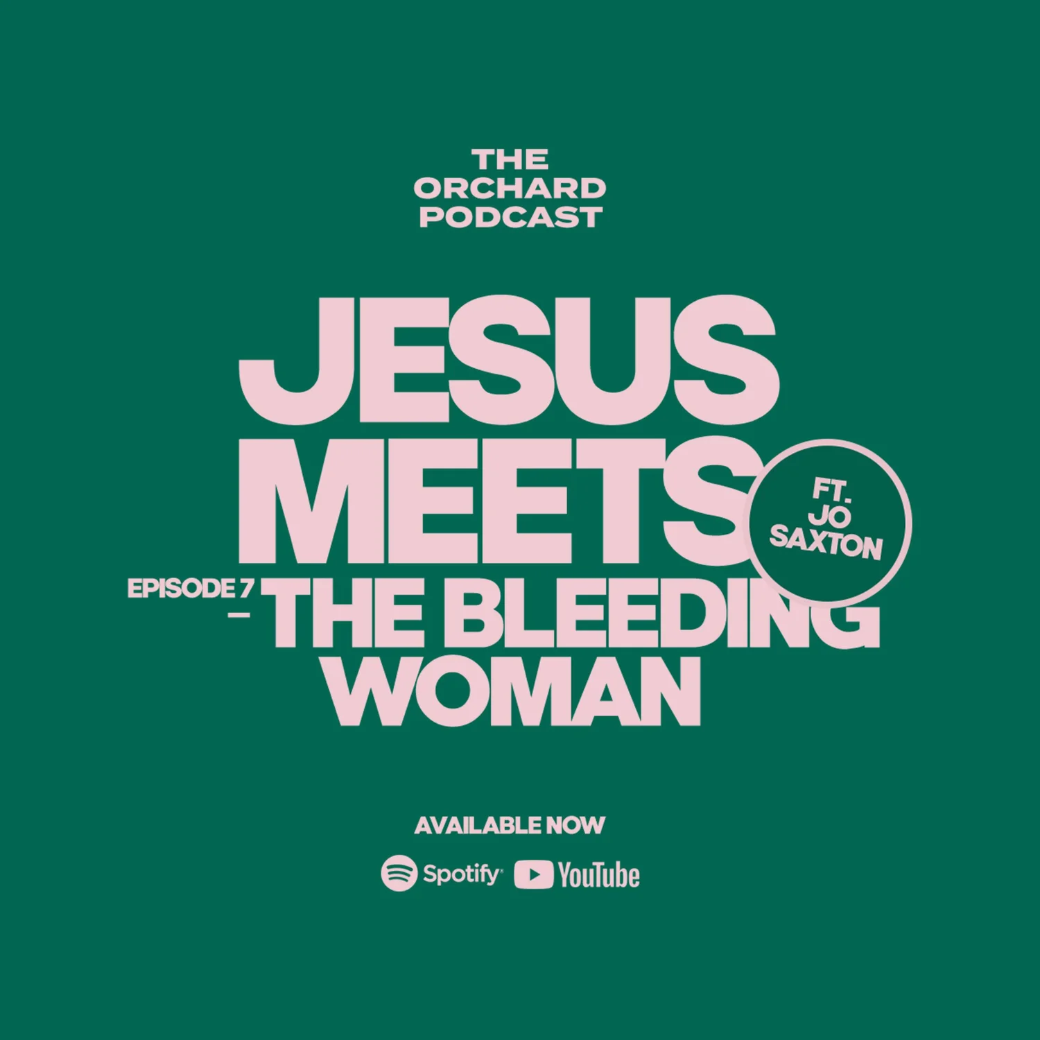 Jesus Meets — The Bleeding Woman
