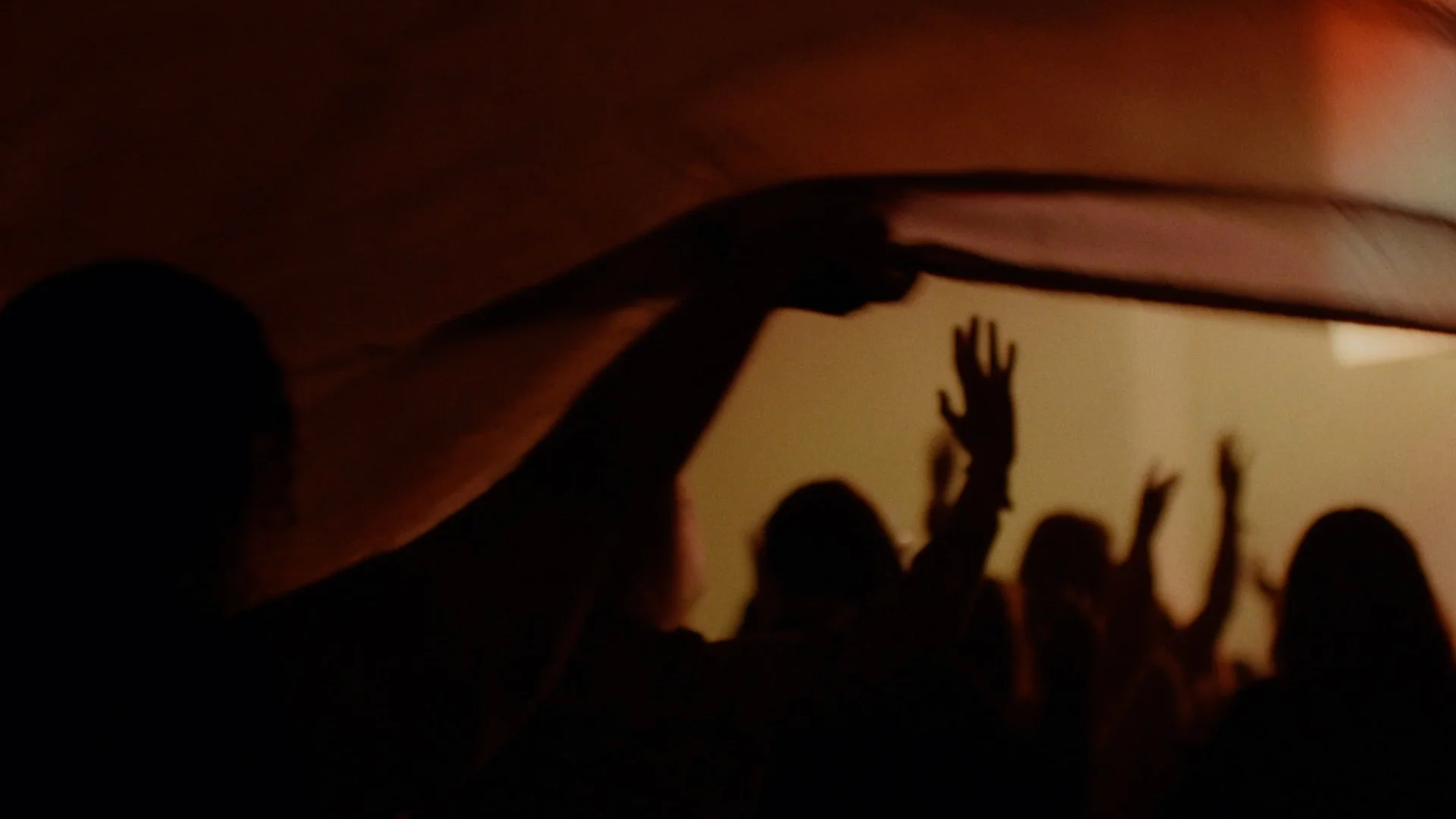 ADS ONLINE 2.00_02_00_20.Still001.jpg