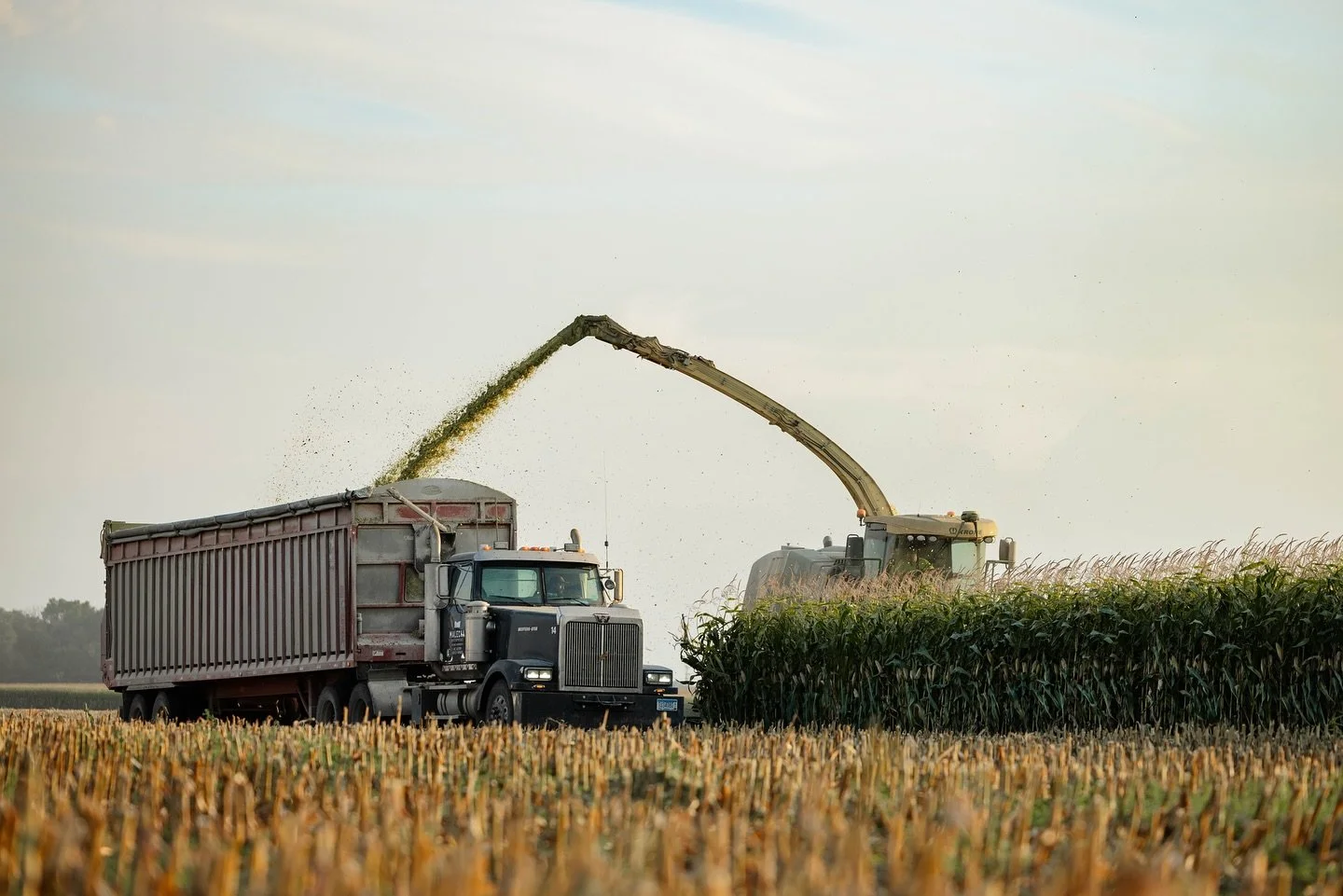 Counting rows and making cow chow! 🌽 Silage harvest started at home this weekend. After a few days of opening fields, we&rsquo;re nearly done with our dairy acres and gearing up for customer work.