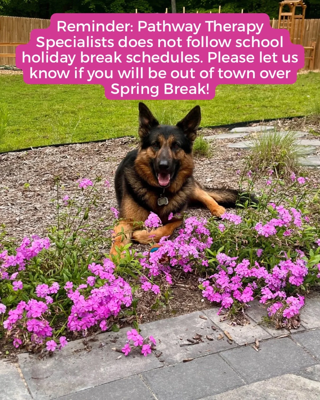 It&rsquo;s warming up and school Spring Breaks will be here before we know it!  Please let us know if we&rsquo;ll need to adjust your therapy schedule. 

Otherwise, we&rsquo;ll be around and ready to play!