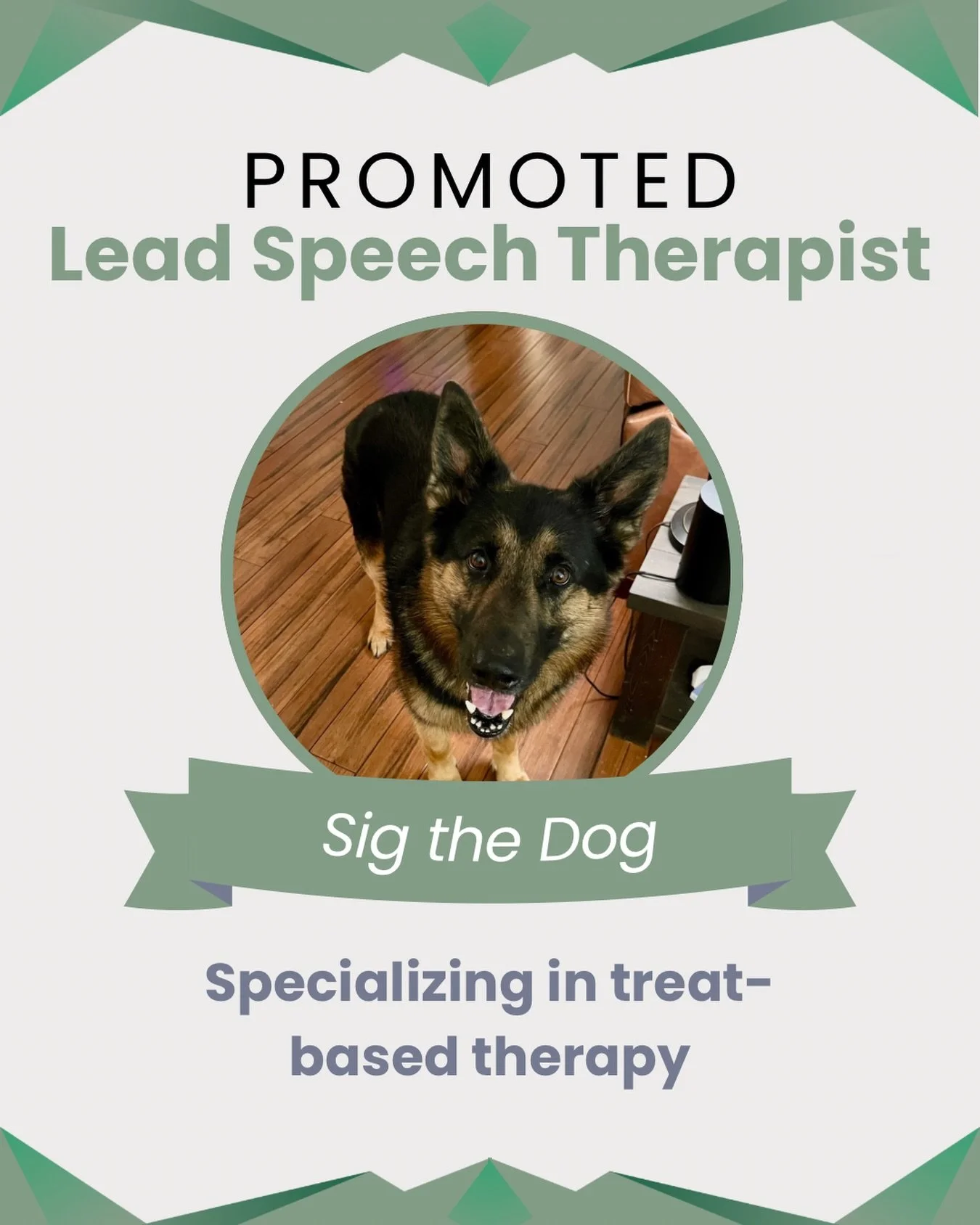 Big news from Pathway Therapy Specialists&hellip;

After careful consideration, we are excited to announce the promotion of Sig from Security to Lead Speech Therapist!

His qualifications include:
🐾 Semi-improved listening skills
🐾 Ability to keep 
