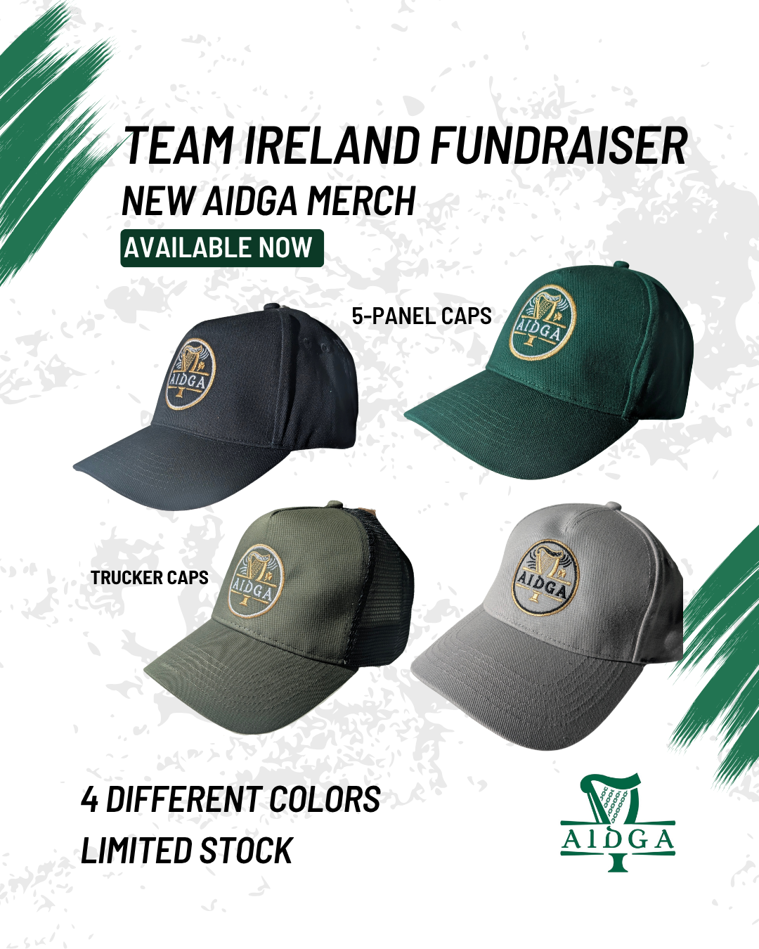 AIDGA Merch.png
